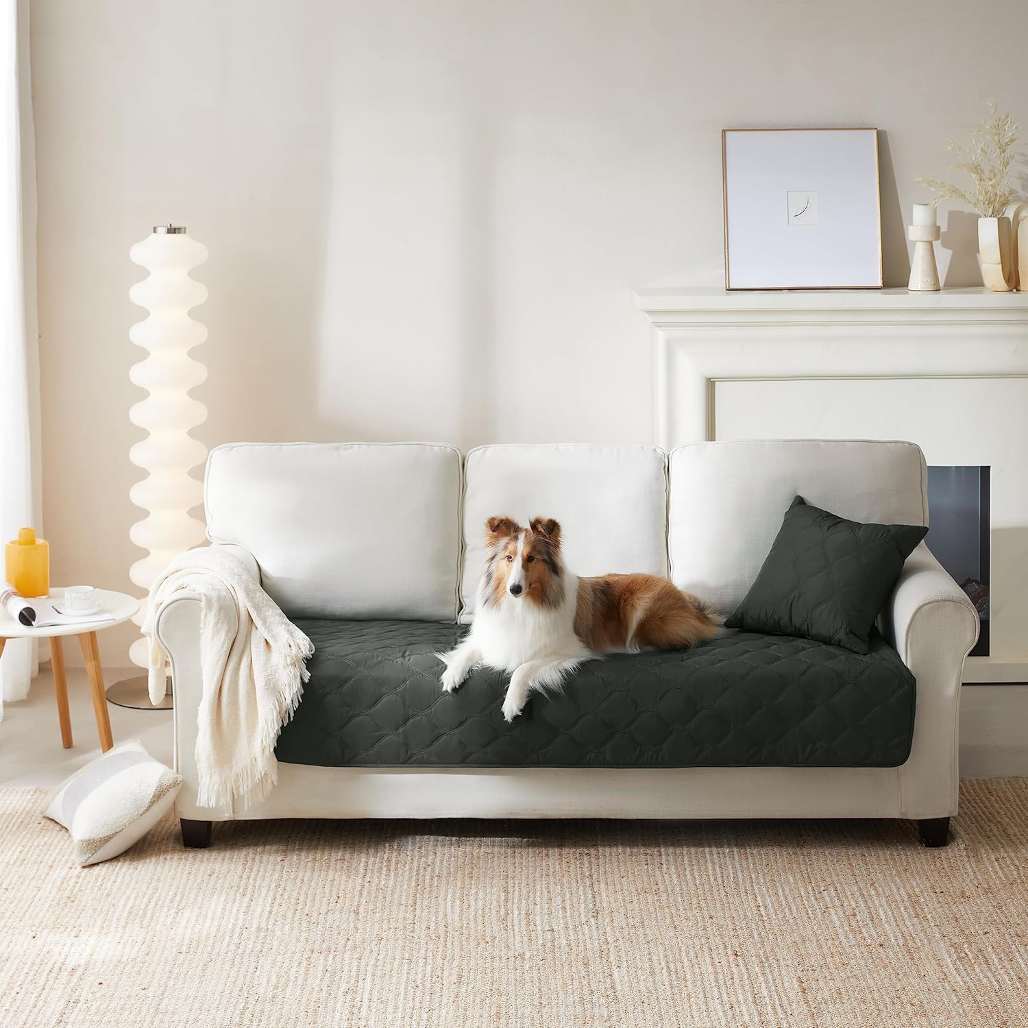 Allisandro Waterproof Pet Couch Protector, Dog Hair