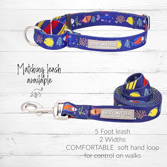 Foto 5 de 6 de Lucky Love Dog Collar de martingala, color azul, antideslizantes, para perros pequeños
