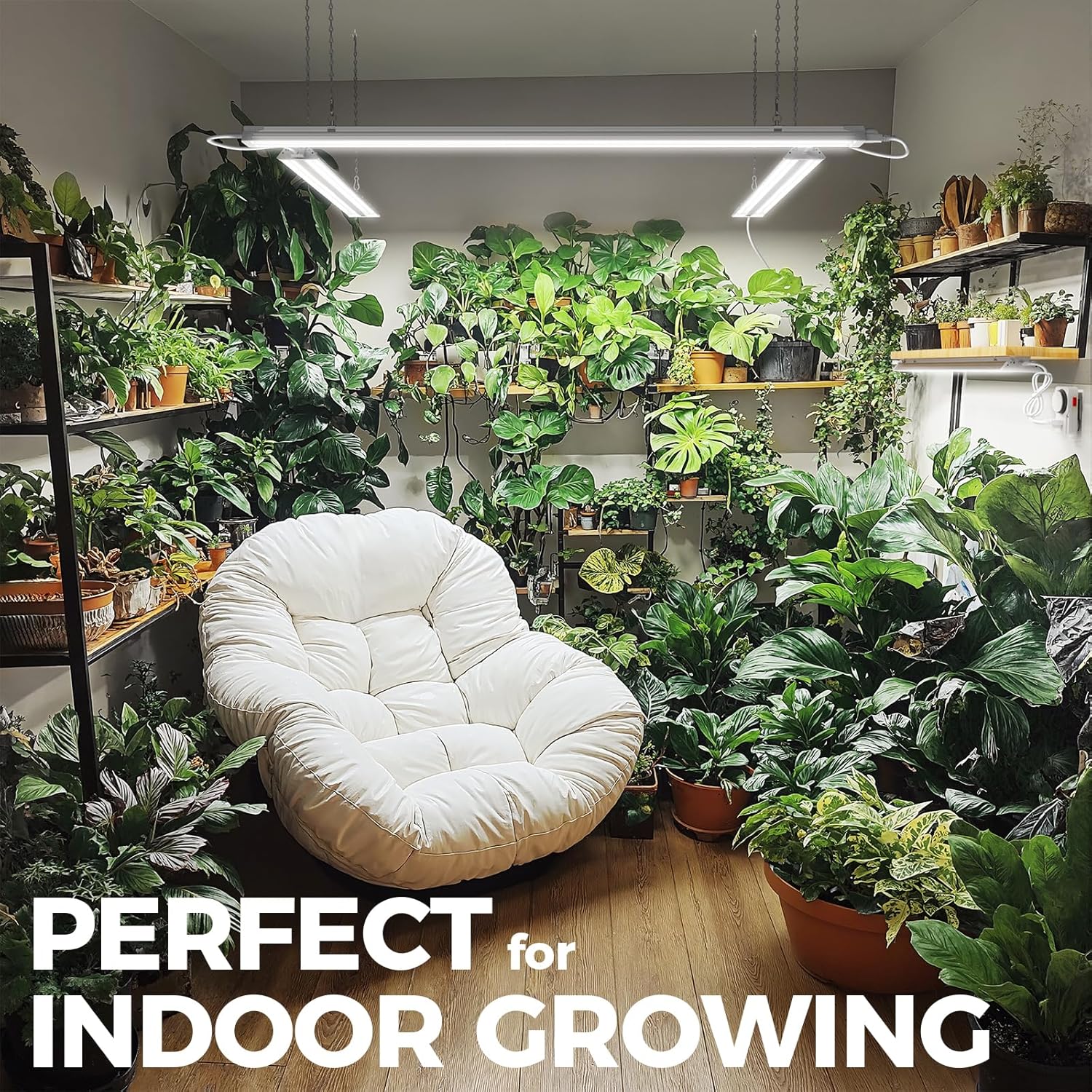 An indoor room filled with various potted plants on shelves and the floor, illuminated by Barrina grow lights, demonstrating a typical application.