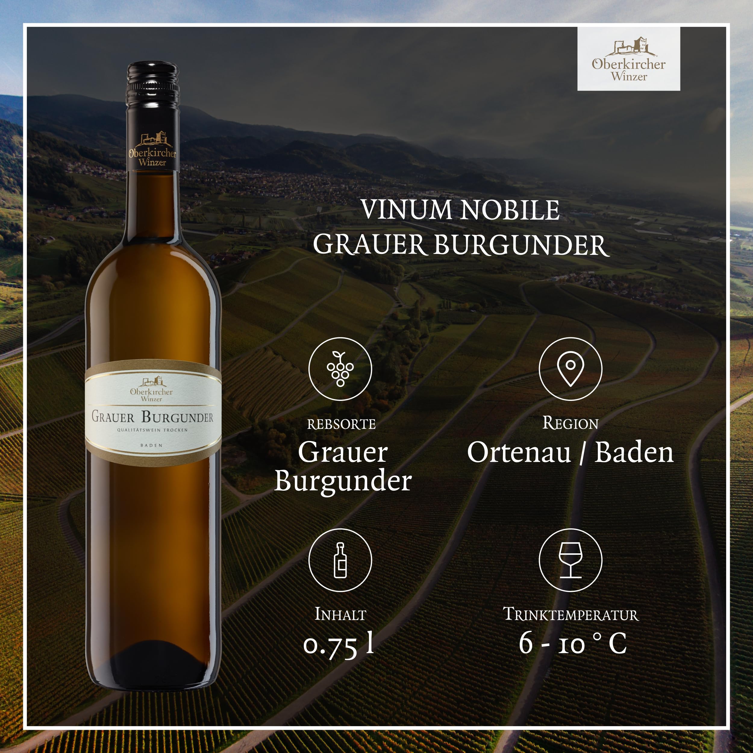 Oberkircher Winzer Wein Probierpaket - VINUM NOBILE - Riesling, Grauburgunder, Chardonnay, Spätburgunder, Merlot, Syrah - Premium Weißweine & Rotweine trocken aus Baden (6 x 0,75l)