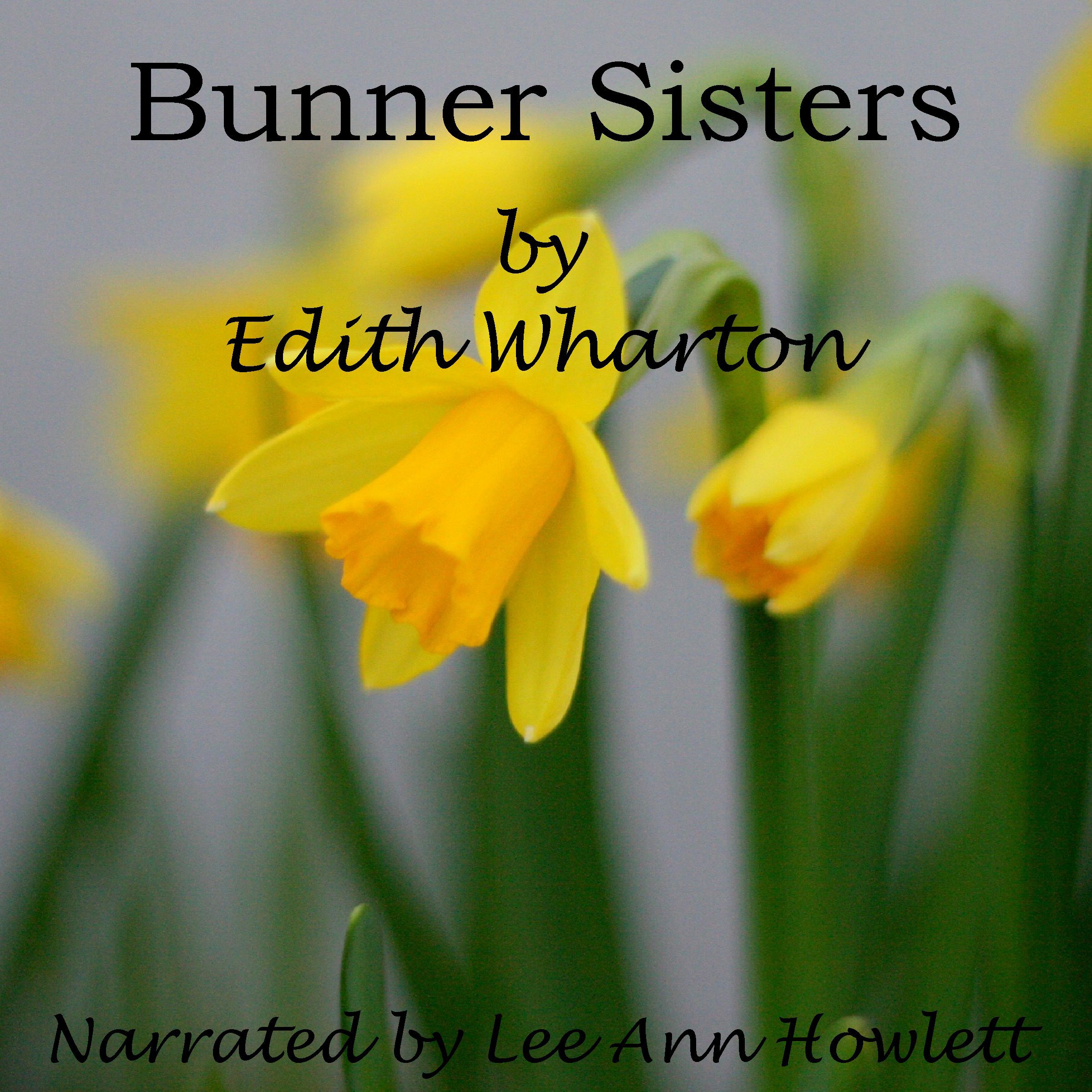 Cover art for Bunner Sisters