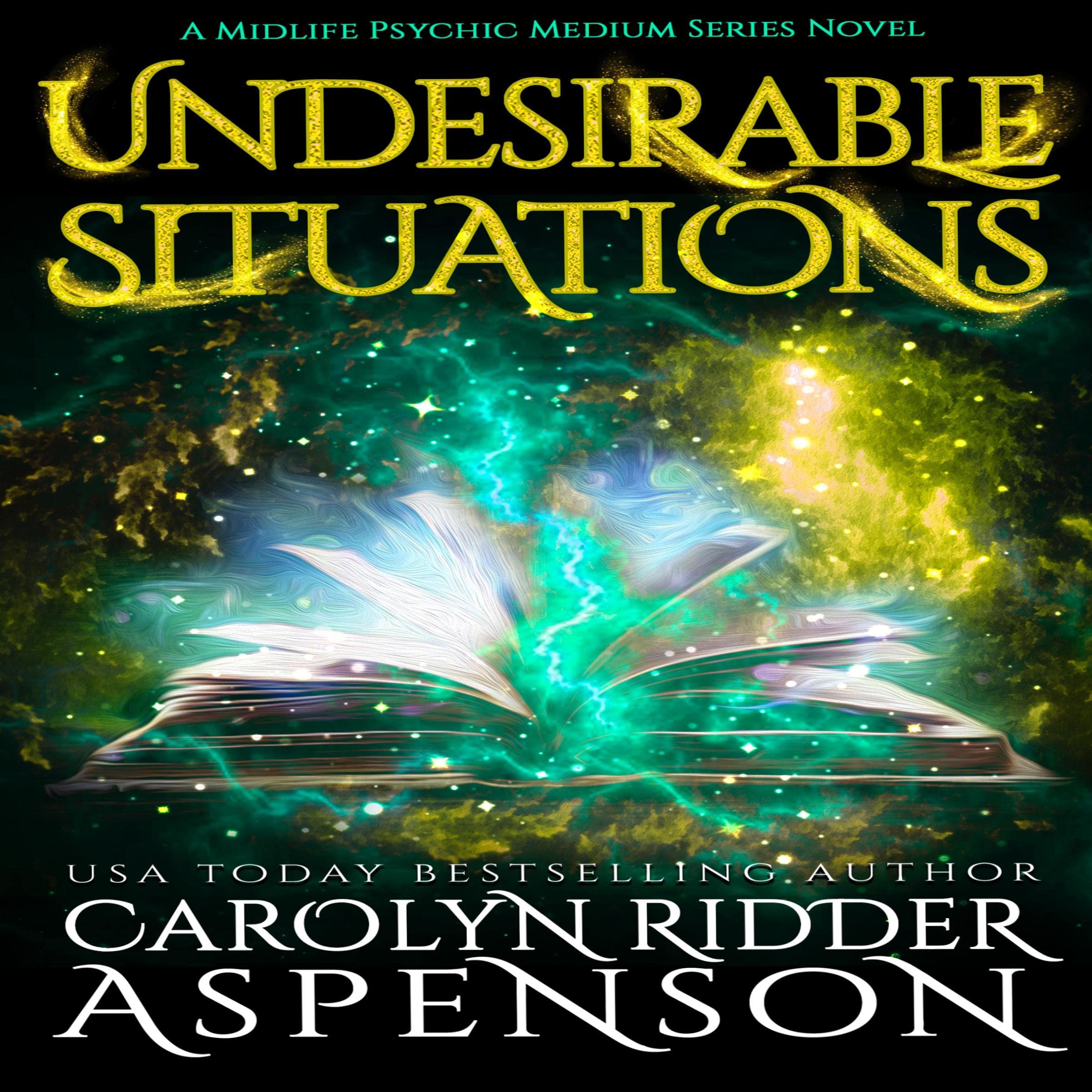 Cover art for Undesirable Situations
