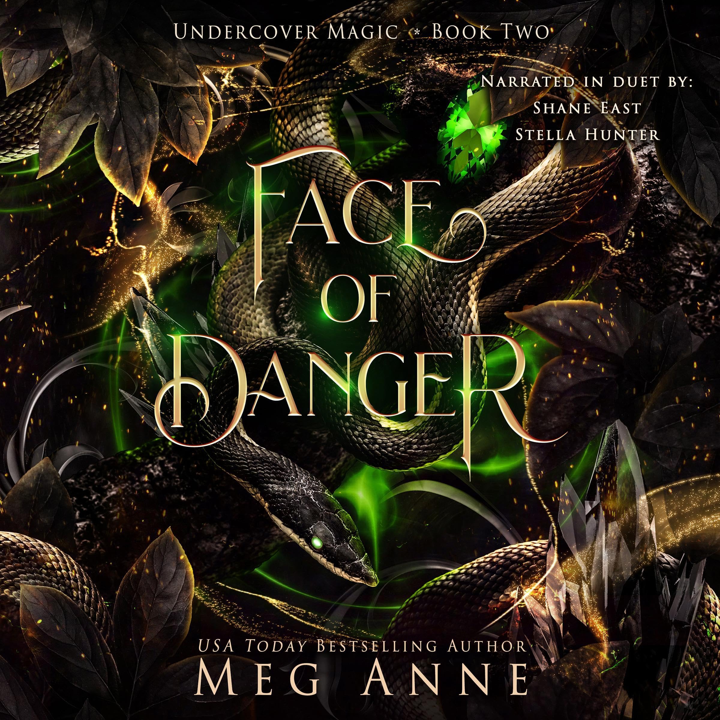 Cover art for Face of Danger