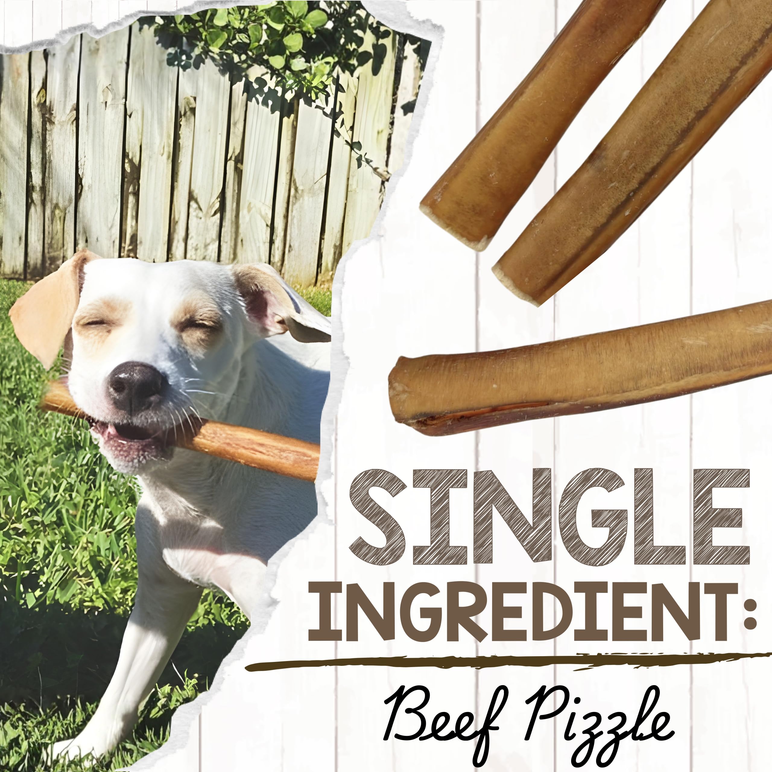 Nature Gnaws Jumbo XL tiene Bully – tutti i tipi di erba naturale Fed per mantenere all'aperto premio carne di manzo cane mastica da 5 a 6 pollici (6 confezioni)