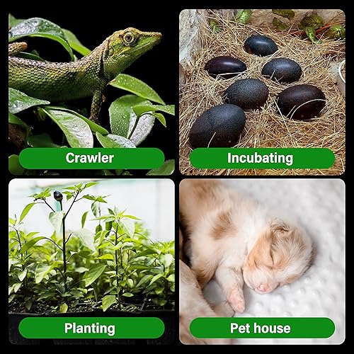 Miniatura 7 de HealSmart Lámpara de calor para reptiles de 150 W, emisor de calor de cerámica, sin bombillas de calor emisoras de luz para pollo, incubador de