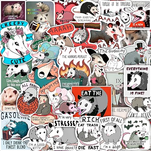 Vista 388 de BulbaCraft 100 calcomanías de baile para botella de agua, calcomanías de baile para álbumes de recortes, regalos para bailarines, regalos