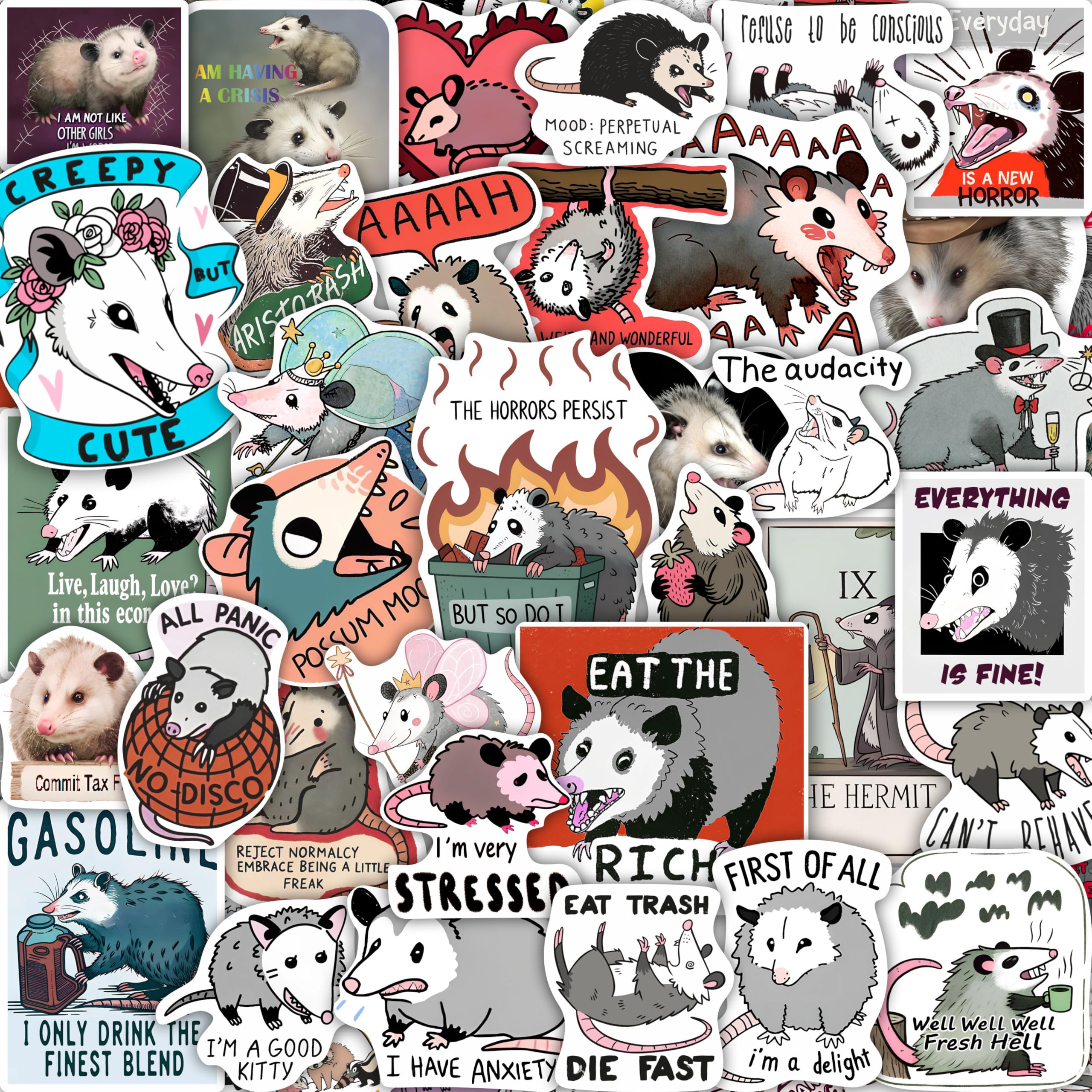 100Pcs Possum Stickers, Opossum Stickers - Possum Gifts - Opossum Party Decoration, Favors - Gift for Women & Men — image 1