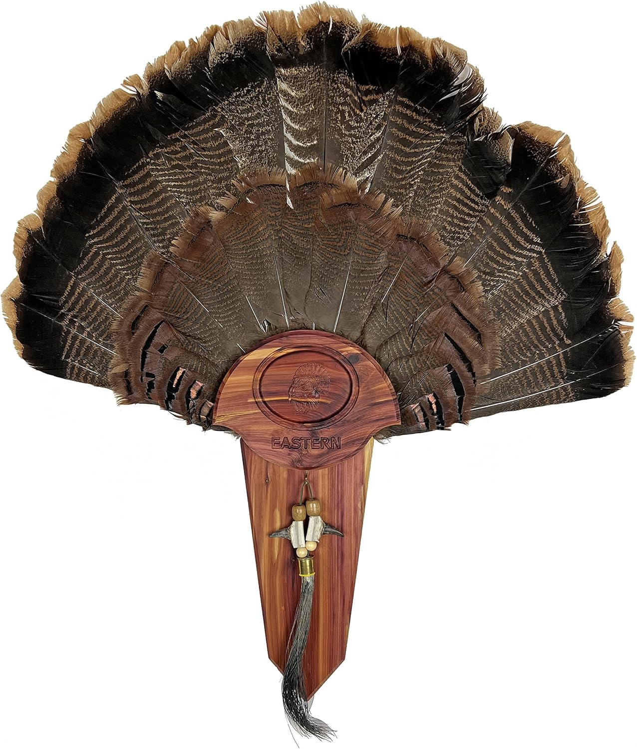 Cedar Turkey Tail Mounting Kit w/Beard and Spur Display- Personalized, Two Designs