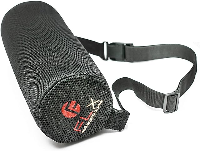 F FLX ENERGISING EXCELLENCE Lumbar Support Cushion and Back Support for Office Chair  Ideal Memory Foam Solution for Home, Travel, Office, Lower Back Pain Relief & Neck Support Pillow