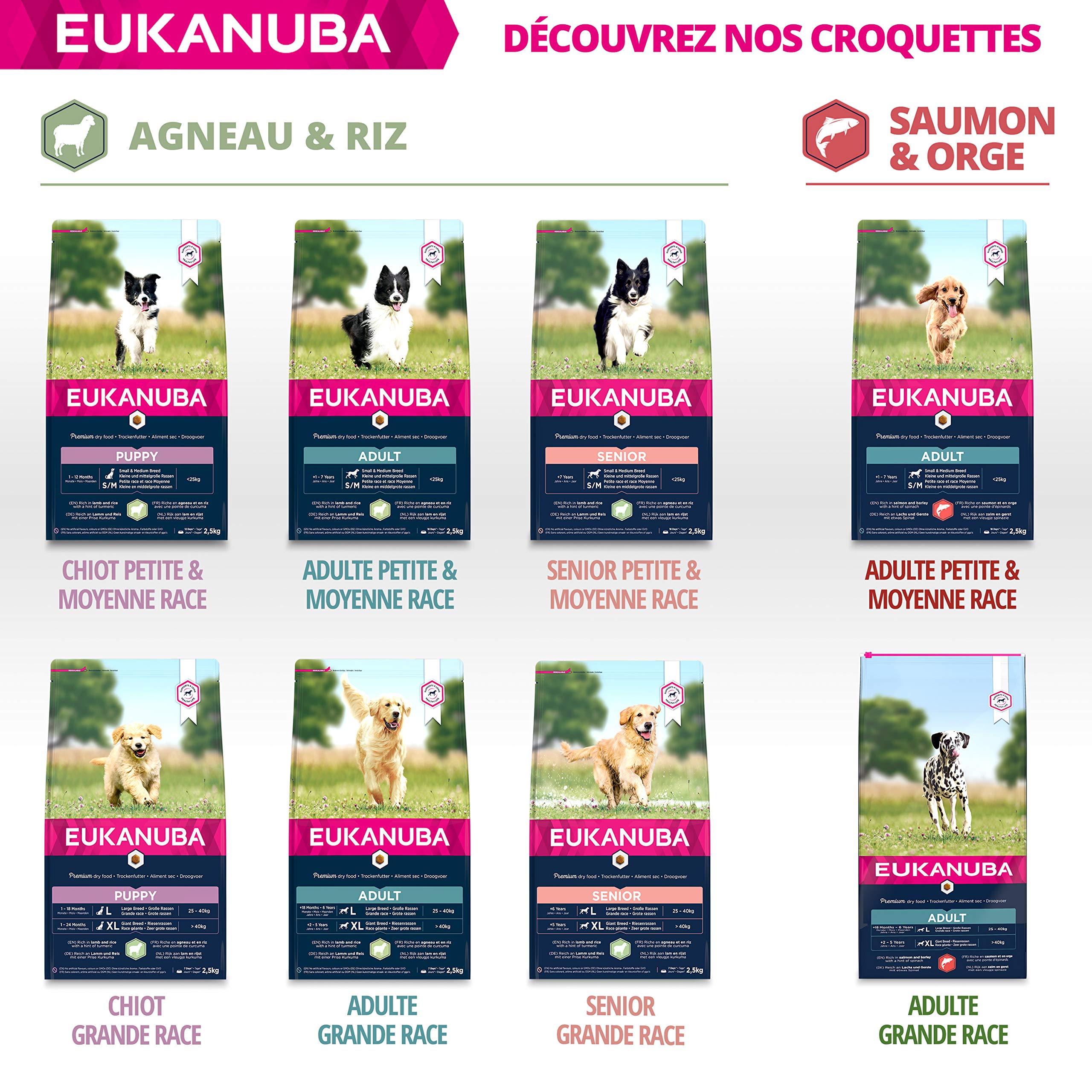 Eukanuba Chien Adulte Nourriture sèche Pour Grande Race Saumon&Orge 12kg