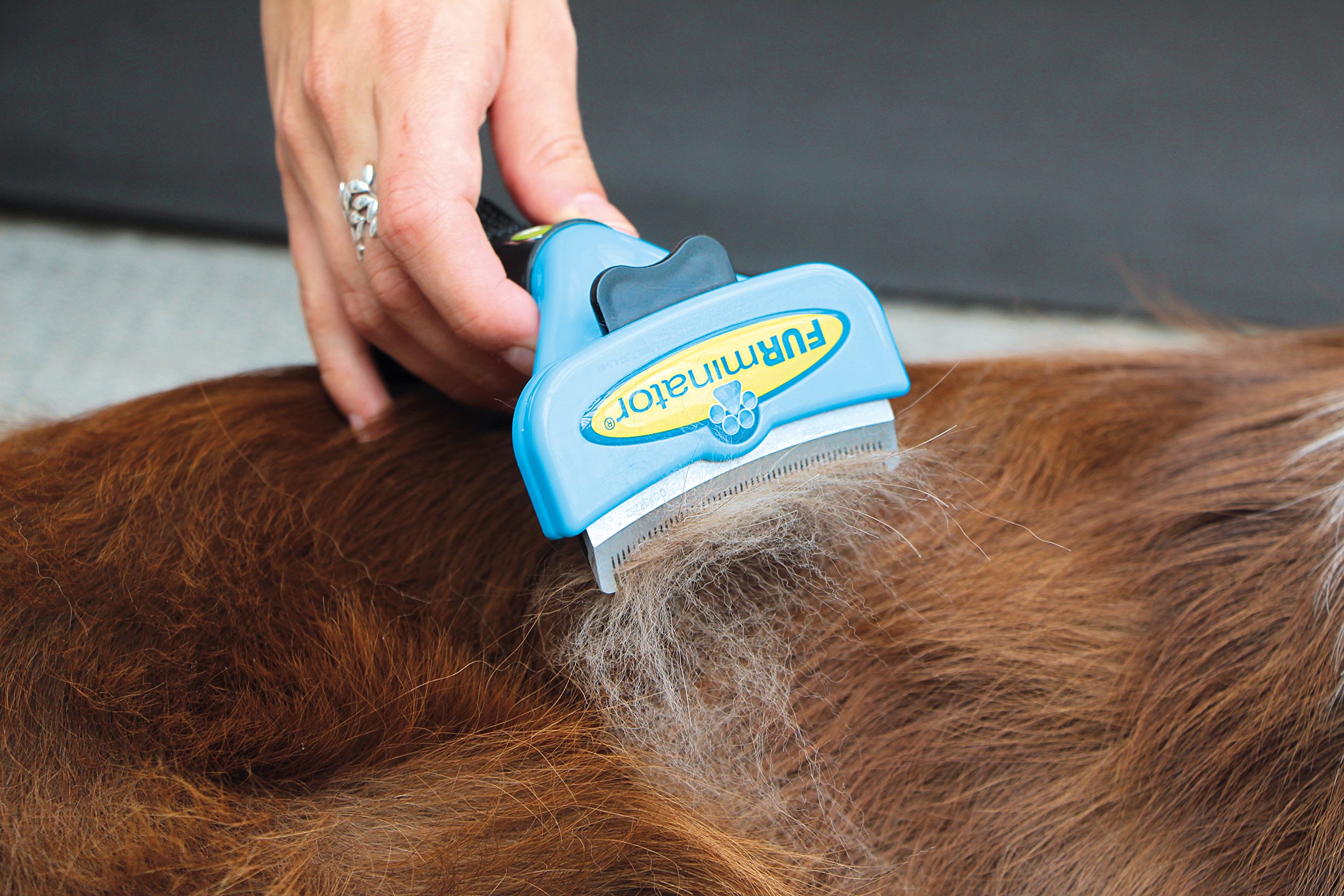 FURminator FURflex szczotka do pielęgnacji sierści dla średnich psów, narzędzie deShedding do usuwania podwełny, rozmiar M