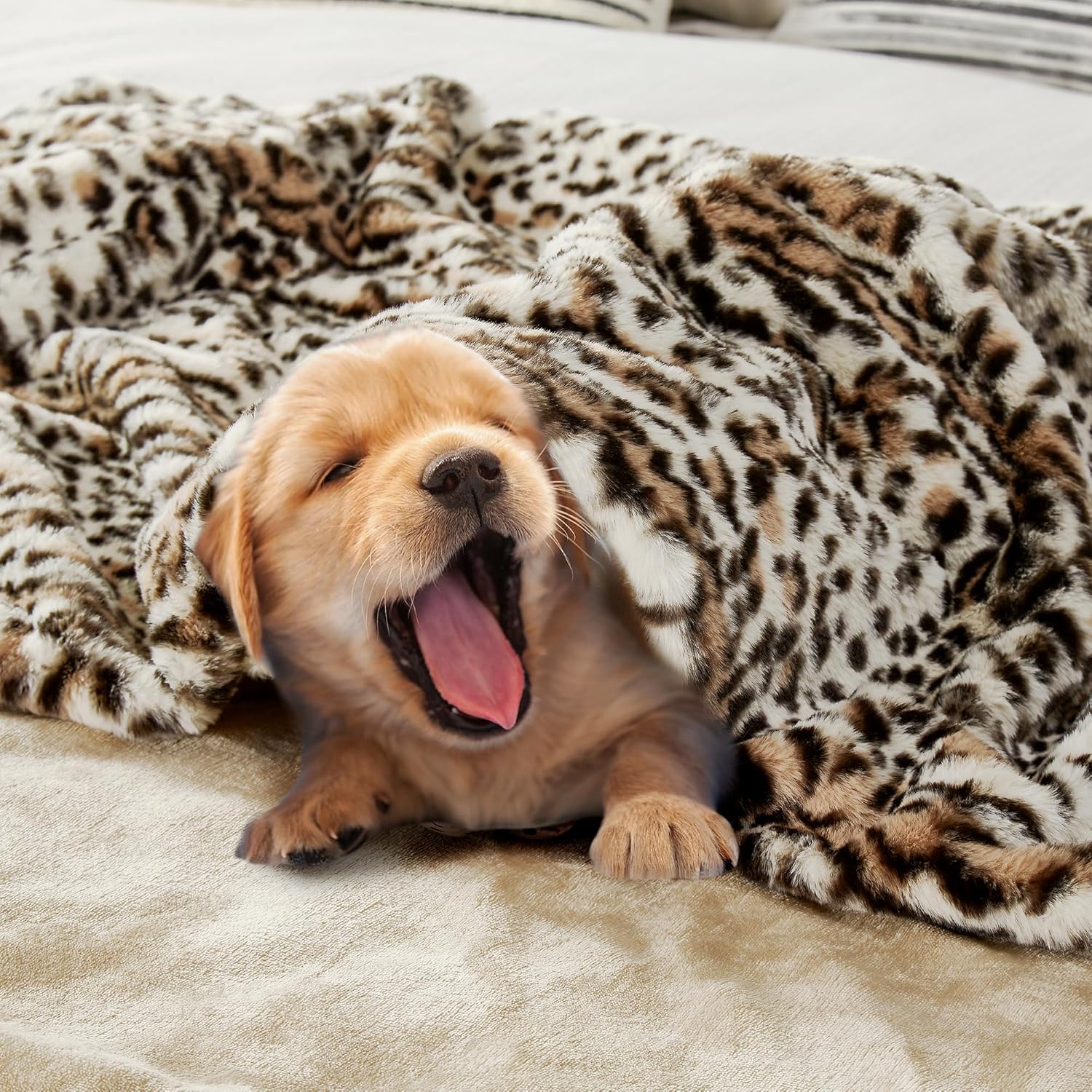 JONIYEAR Cozy Fluffy Brown Cheetah Faux Rabbit Fur Throw Blanket 50" x 60", Decorative Thick Fuzzy Leopard Lap Blankets for Women, Soft Plush Animal Print Warrm Shaggy Furry Blanket for Winter, Beige - Image 5