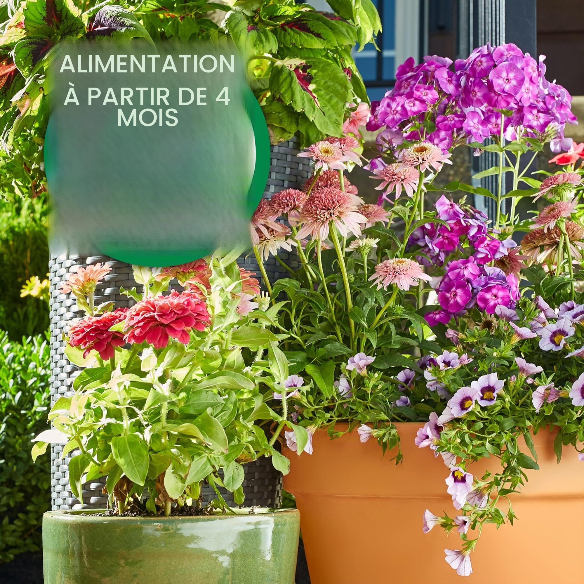Osmoc Smart-Re Engrais pour fleurs et légumes, 0,5 kg.