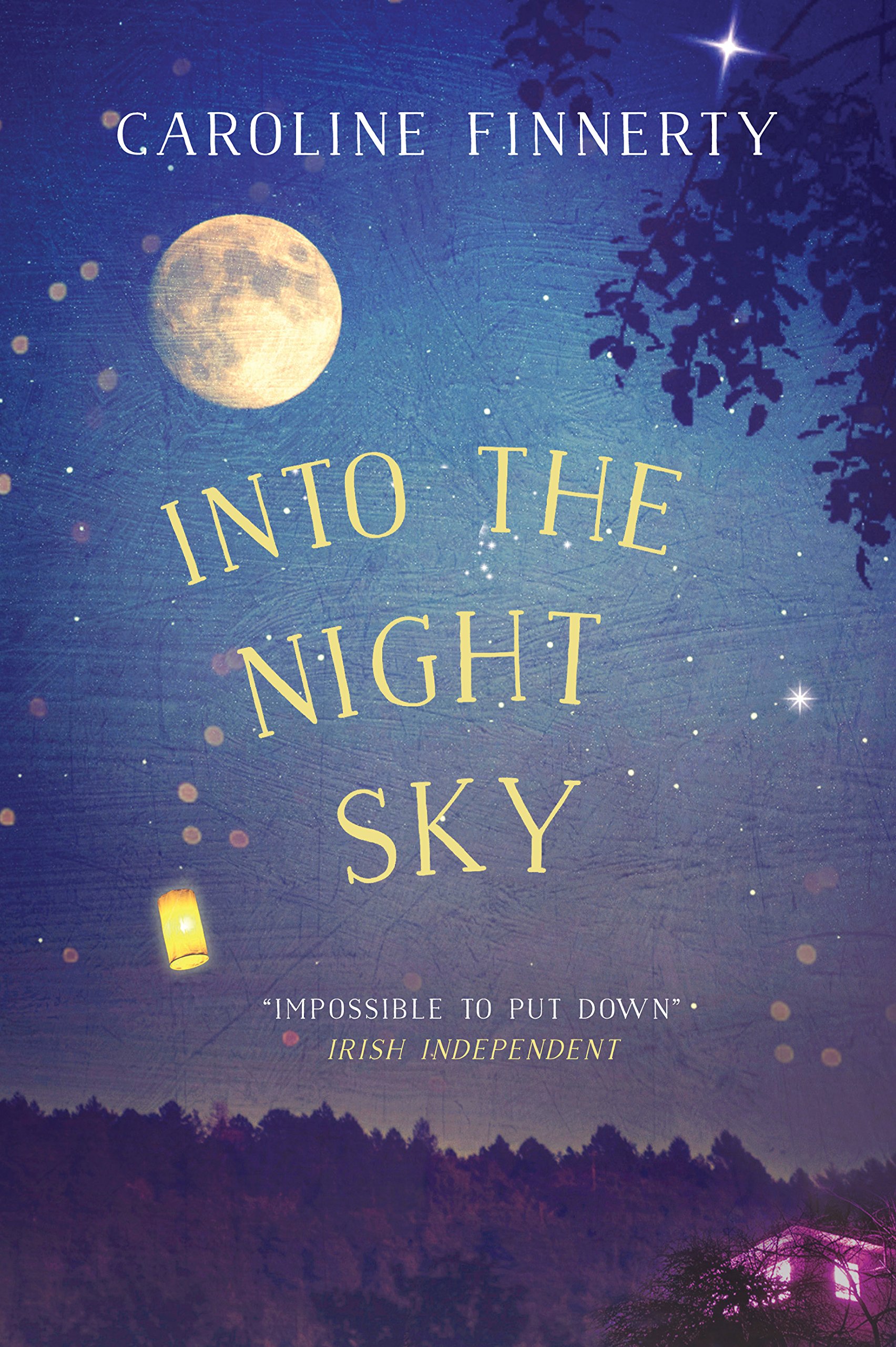 Buy Into the Night Sky — BookShops.in