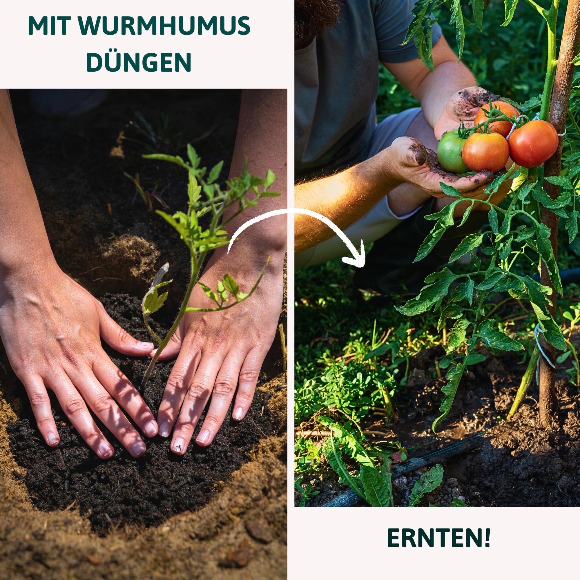 Bio Regenwurmhumus 40L