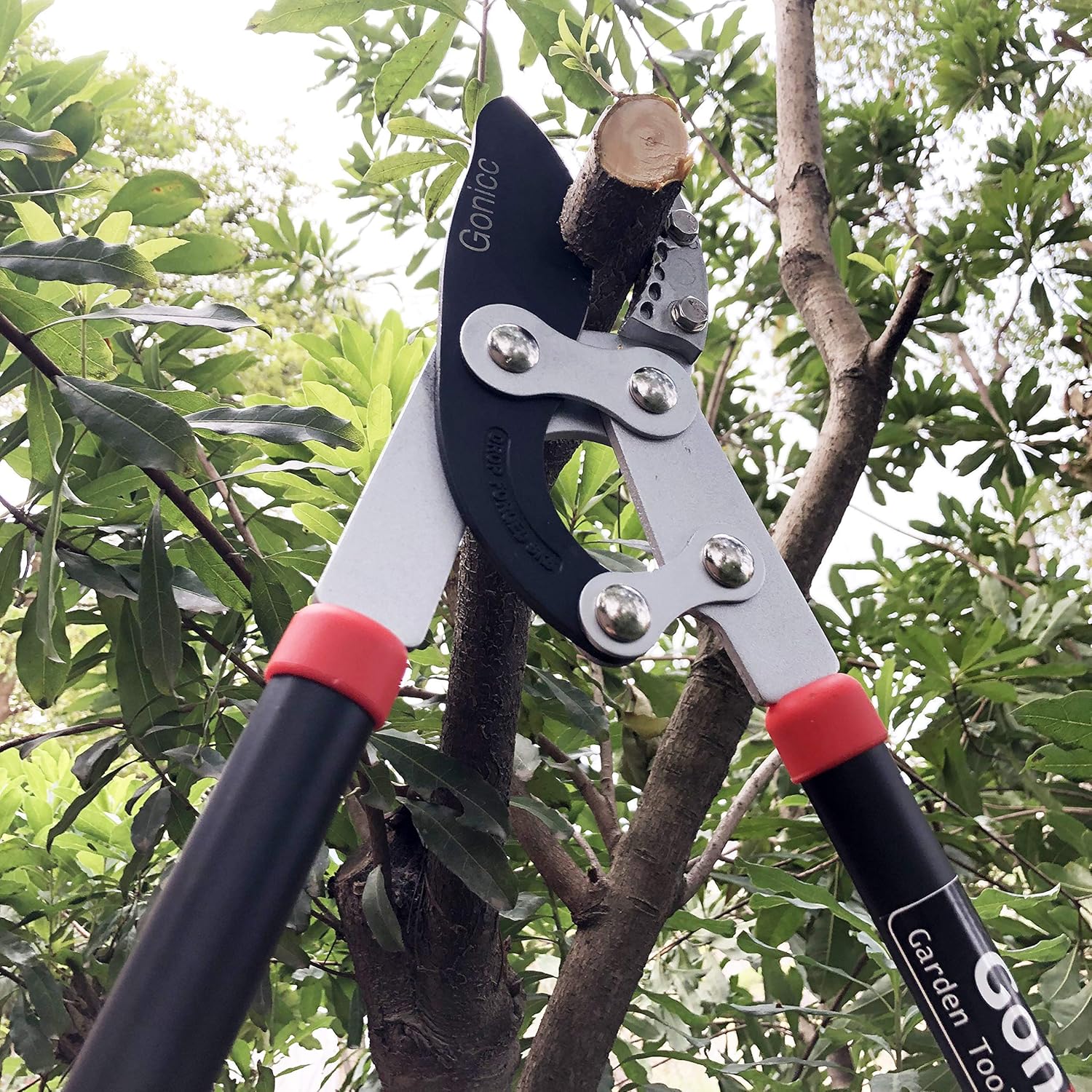 Gonicc 8" Professional Premium Titanium Bypass Pruning Shears (GPPS-1003) and 30 inch SK-5 Steel Blade Anvil Lopper, Hand Pruners, Garden Clippers.