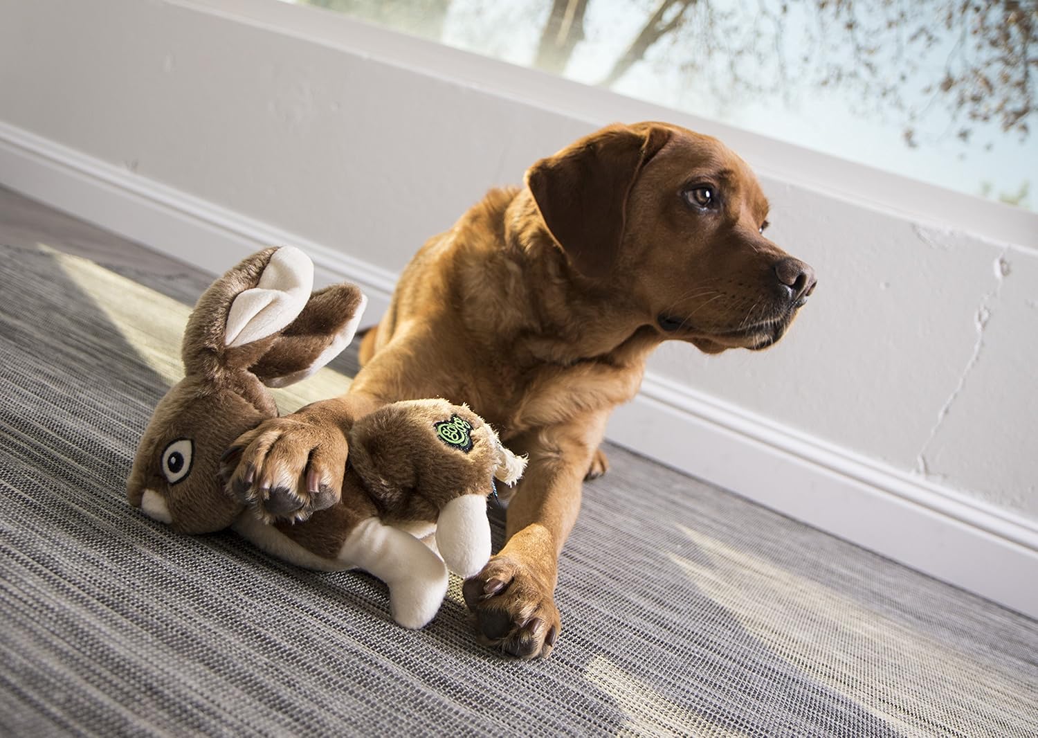 Ultimate Fun for Furry Friends: goDog Wildlife Rabbit Plush Toy Review!