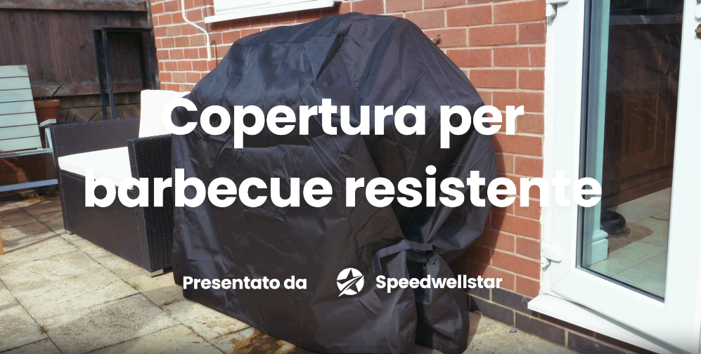 293363_6