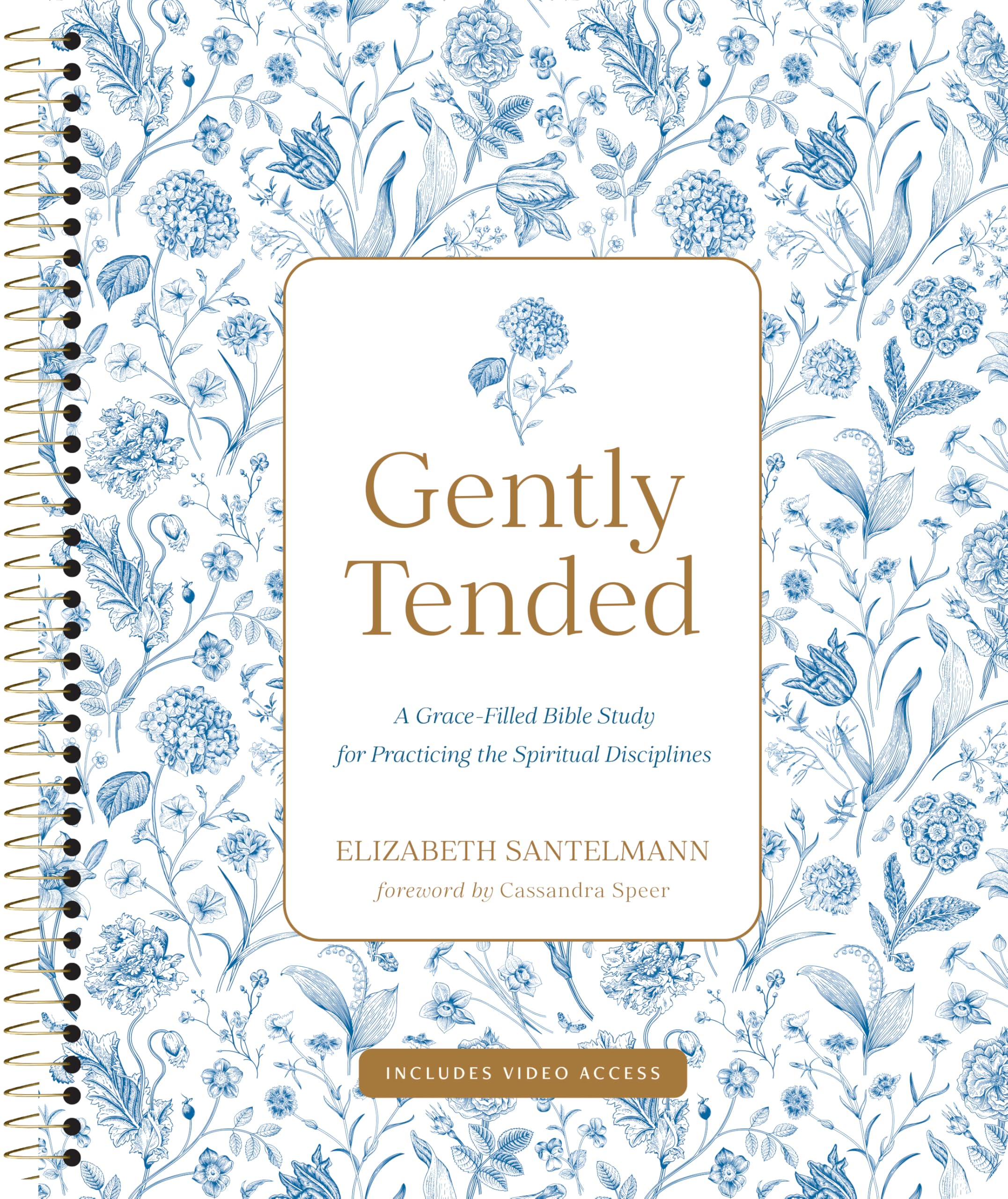 Gently Tended with Streaming Video Access
