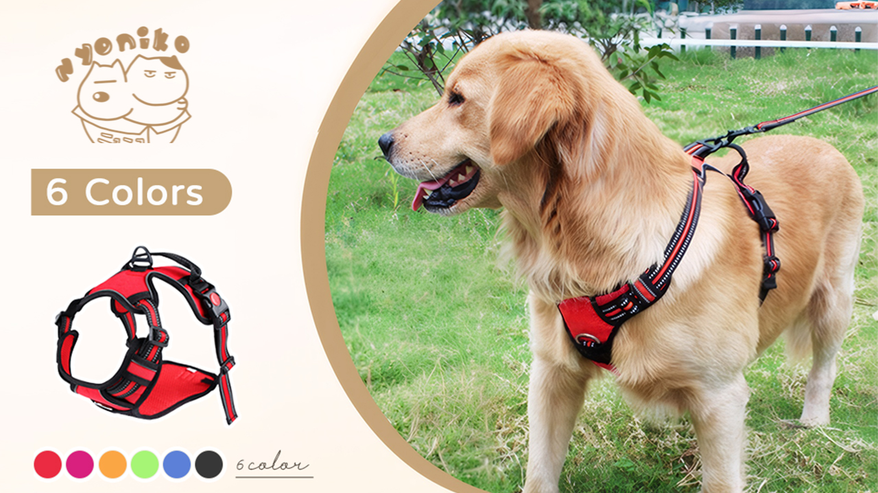 Amazon | [Nyoniko（ニョニコ）] 犬ハーネス 犬用胴輪 小型犬/中型犬