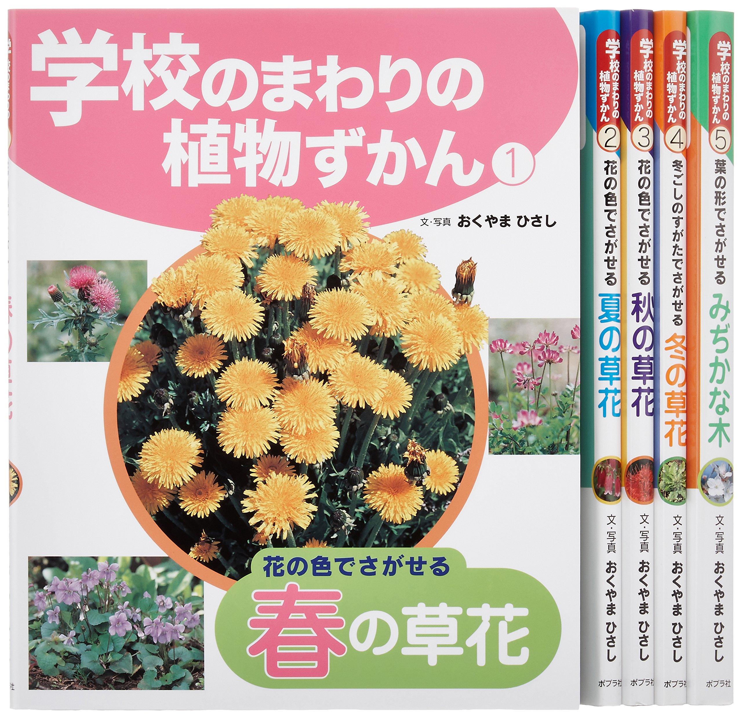 学習花弁図鑑　保育社　理科教育委員会編 学習花弁図鑑 保育社 理科教育委員会編 学習花弁図鑑 保育社 理科教育