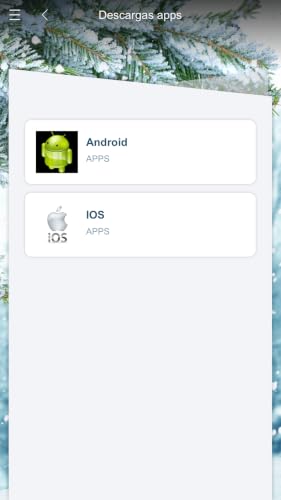AppAndroid – vue 4