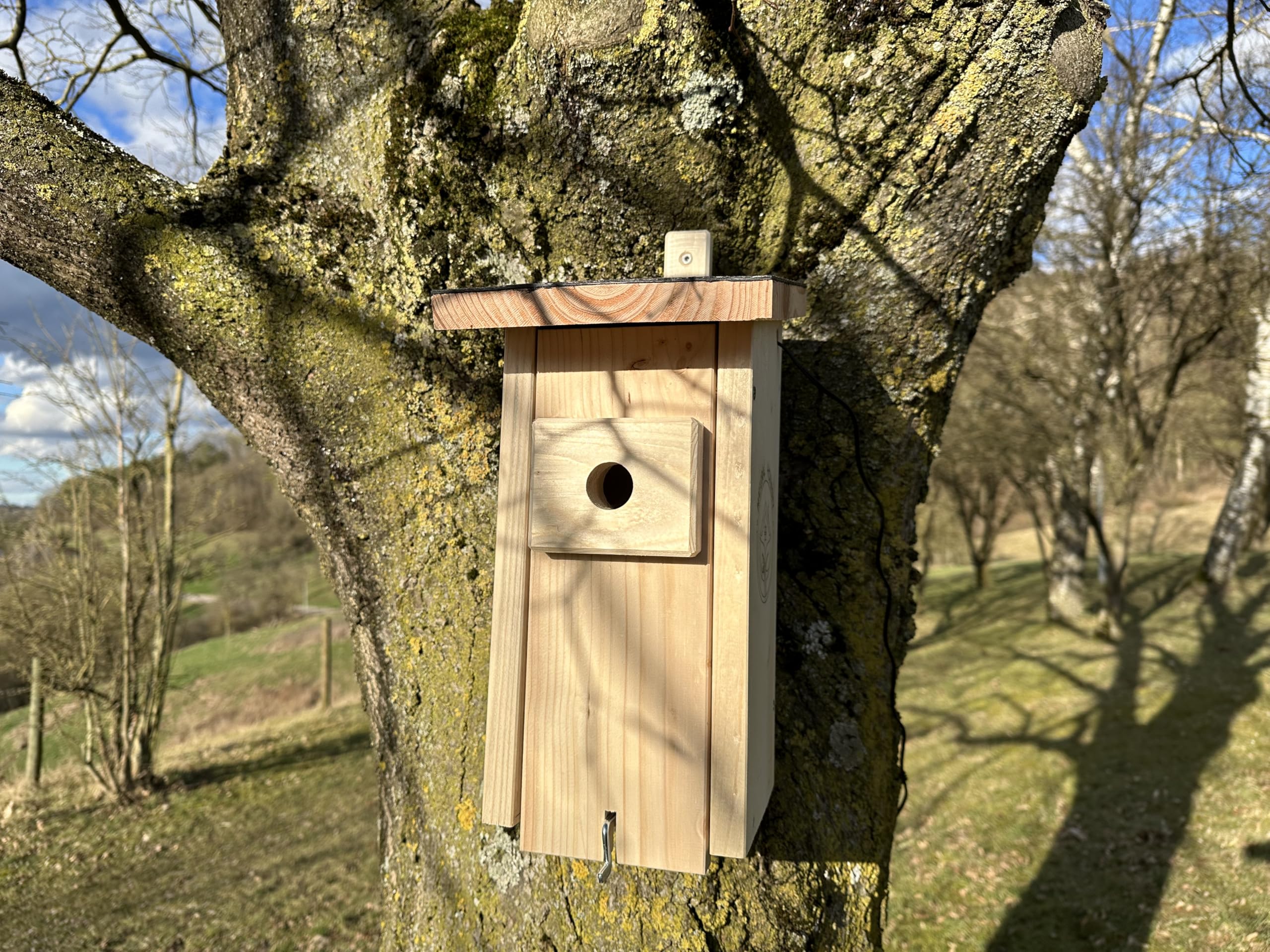 Nido di alta qualità con fotocamera, Live Stream, in legno massiccio certificato PEFC®, casetta per uccelli, 3 m + cavo di alimentazione da 20 m, idea regalo per il giardino
