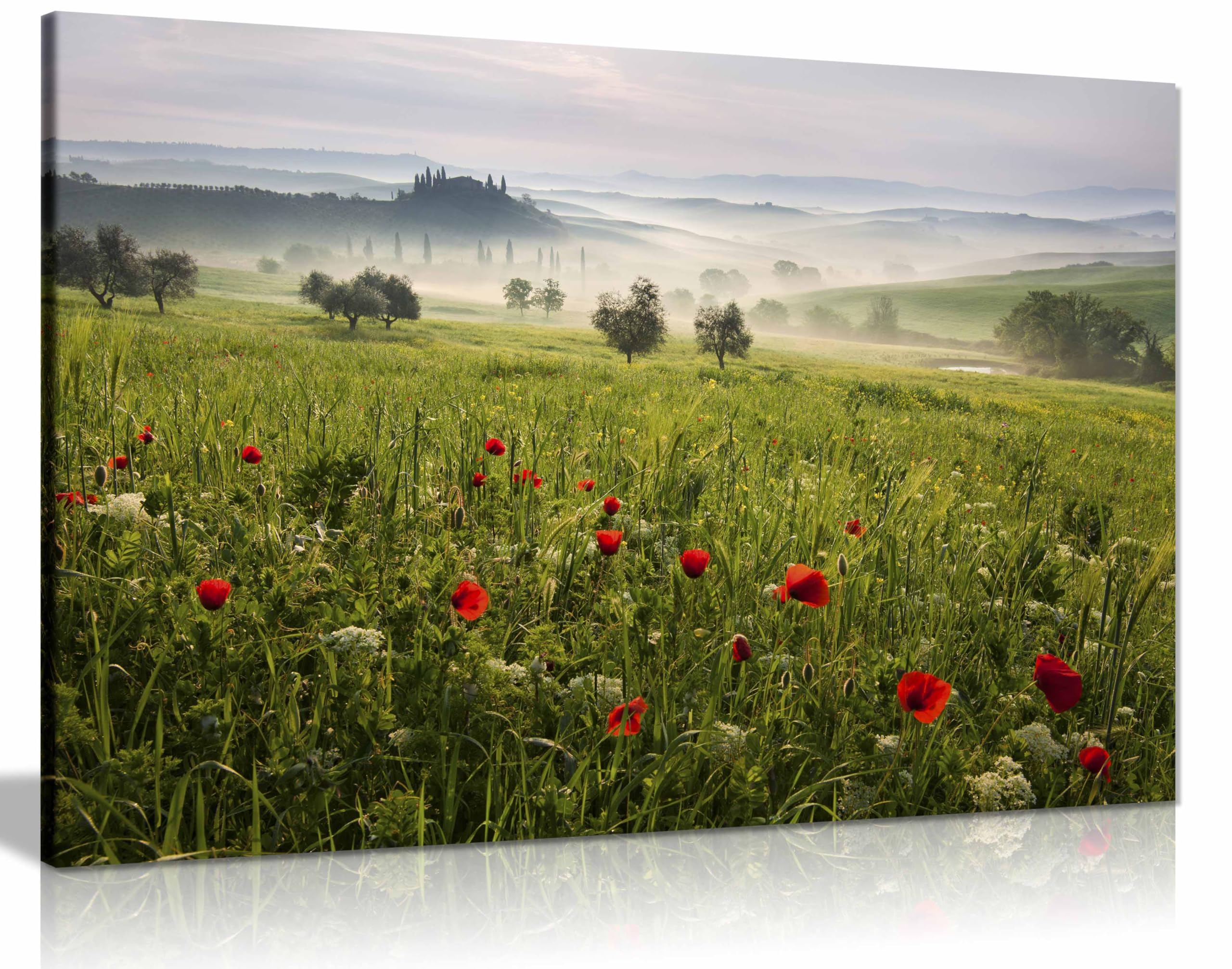 Panther Print Framed Canvas Tuscan Spring Canvas Print, Framed Wall Art Pictures For Home Decor 91X61cm (36X24in)