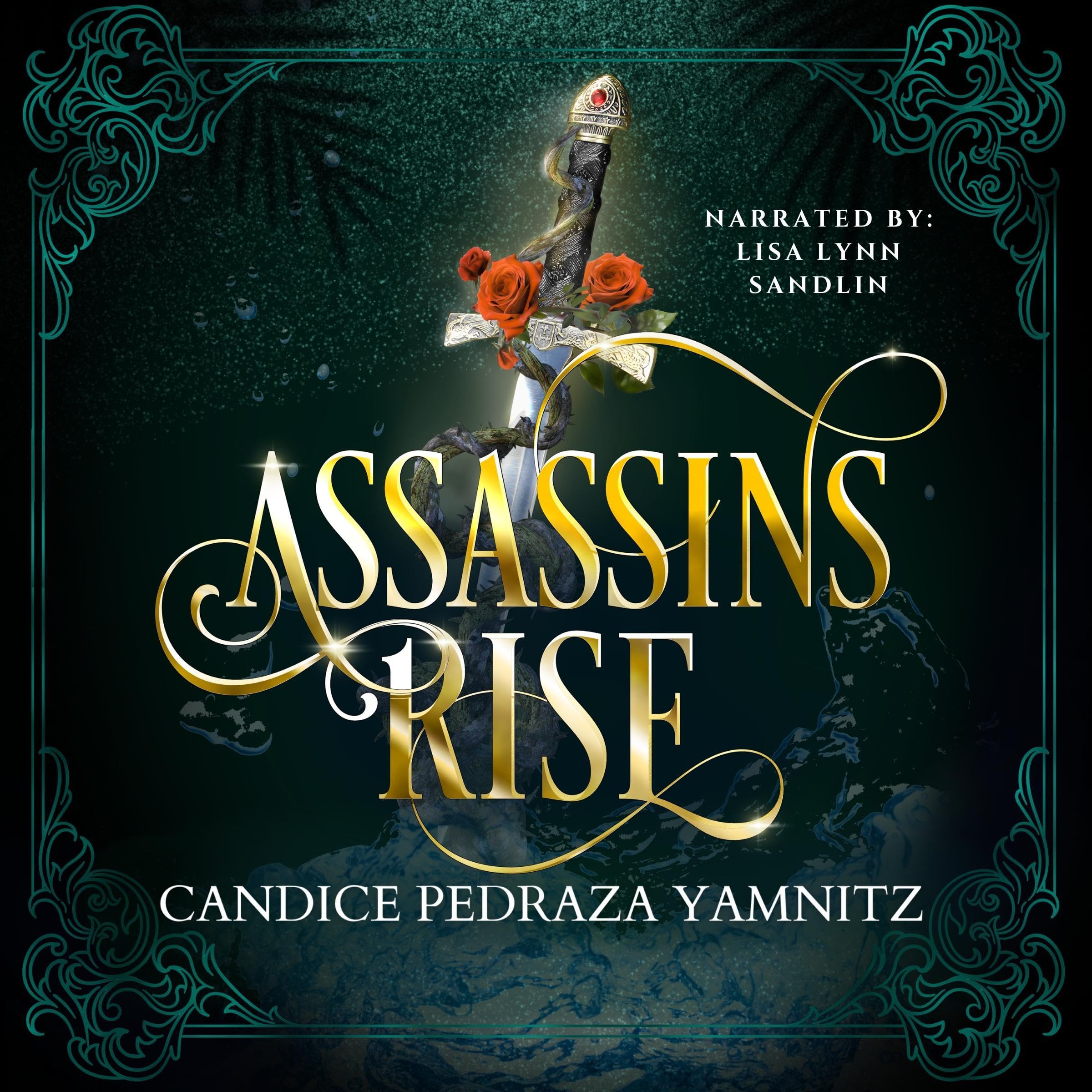 Cover art for Assassins Rise