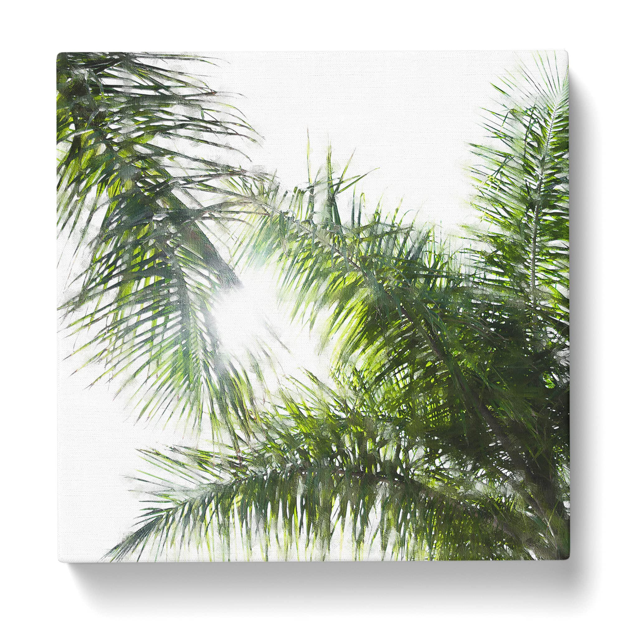 Maspalomas Palm Tree Fronds Canvas Print, Mixed, 35L x 35W cm - Image 3