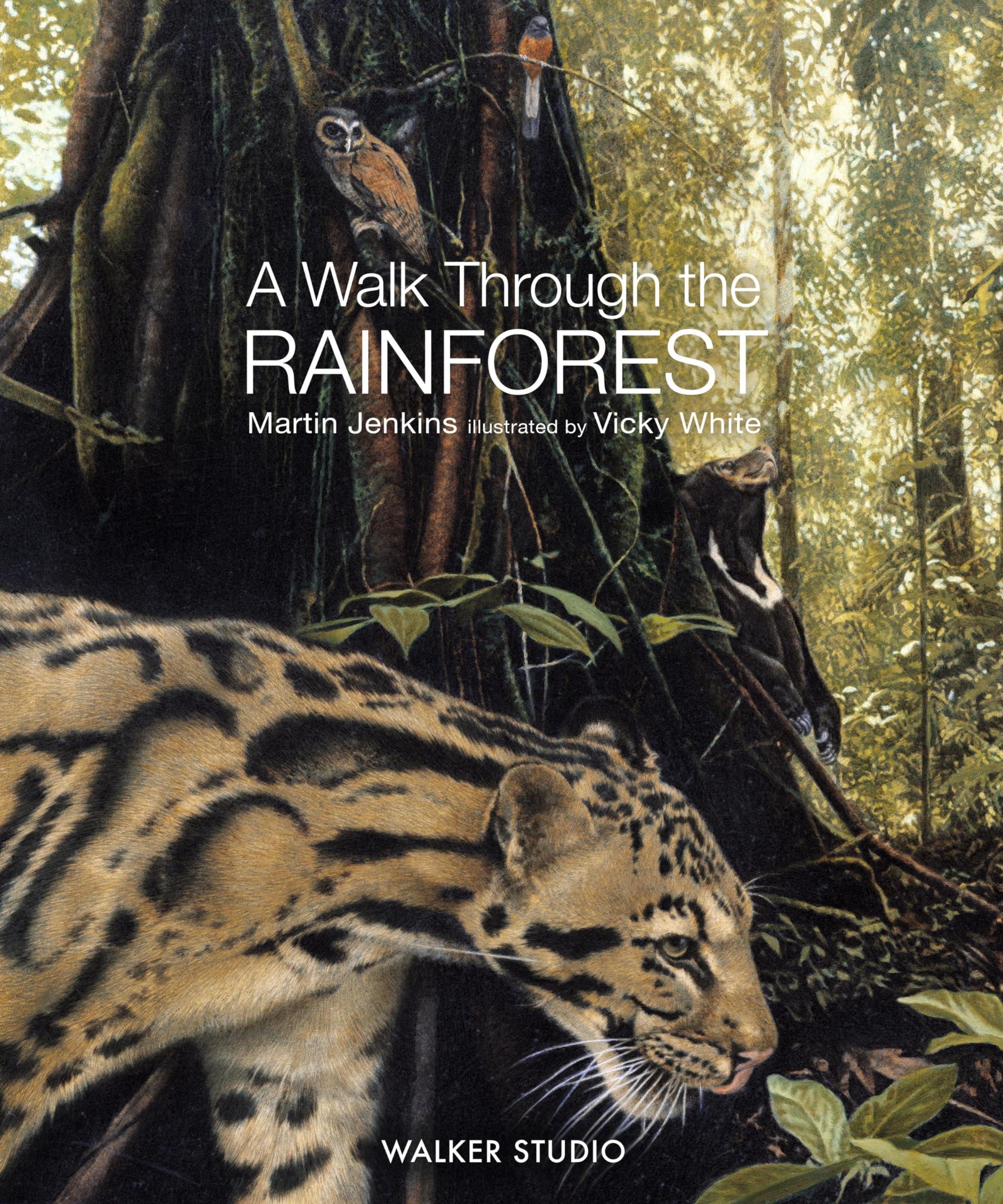 A Walk Through the Rainforest by Martin Jenkins PAPERBACK 9781529518542