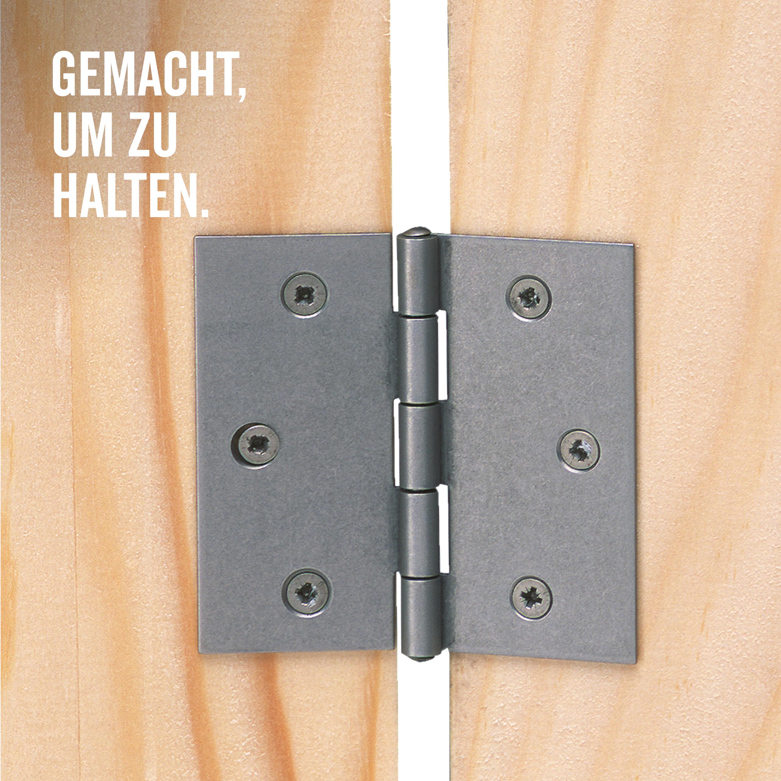Alberts 852016 Scharnier | quadratisch | Edelstahl | 60 x 60 mm | 20er Set