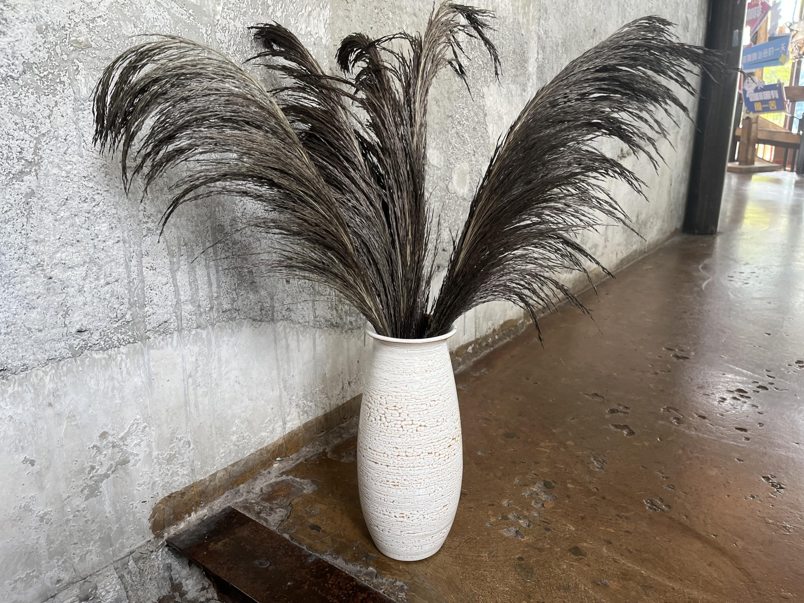 Pampas Grass Decor Tall,Pampas Grandes Florales esponjosas,Flores de Plumas largas para arreglo de Boda Boho Sala de Estar (8 Piezas de 31"/80cm, Gris)