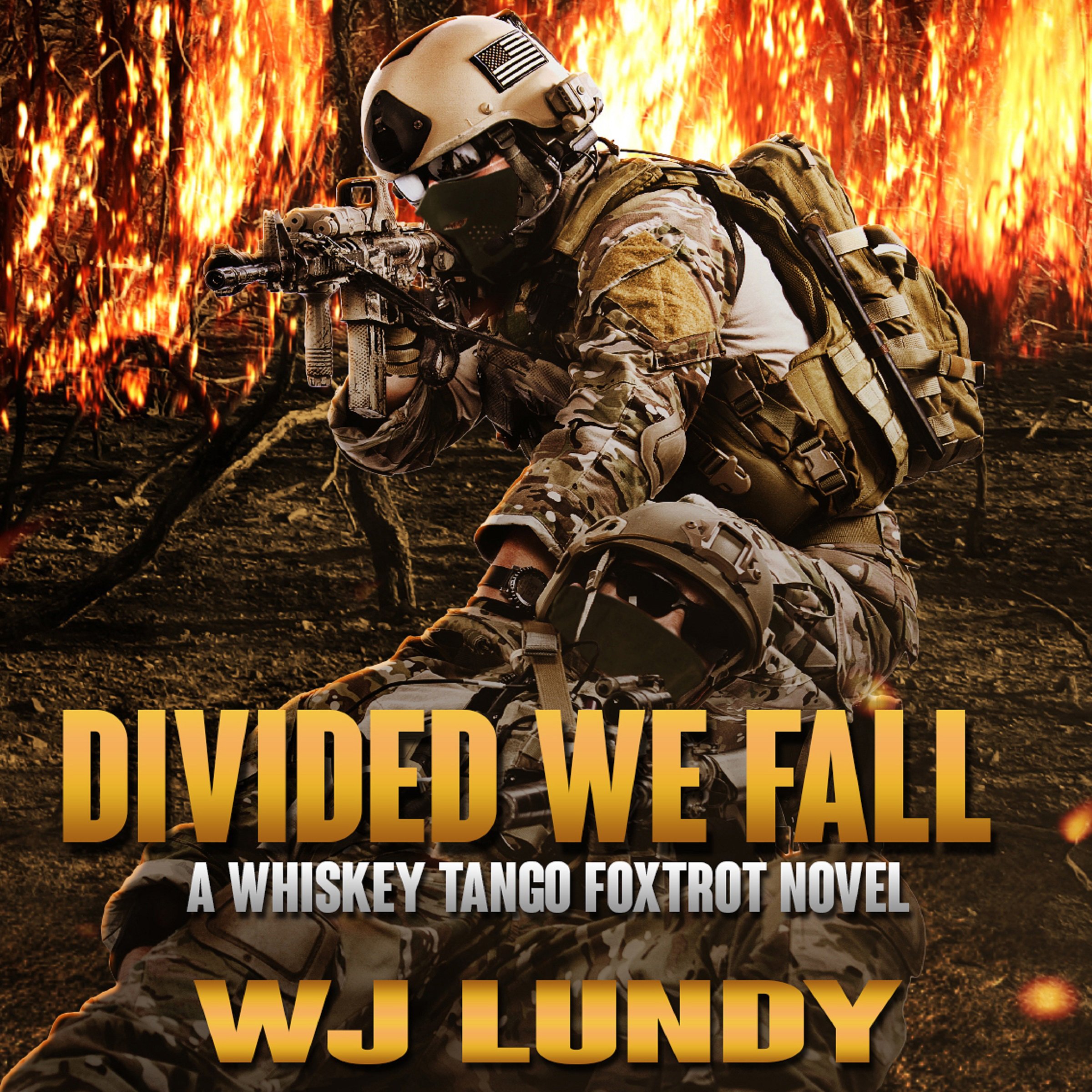 Cover art for Divided We Fall: Whiskey Tango Foxtrot, Volume 6