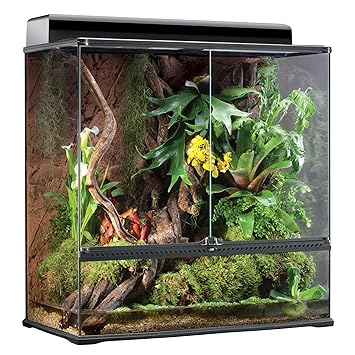 Buy Exo Terra High Glass Terrarium 36 By 18 By 36 Inch Online At Low Prices In India Amazon In