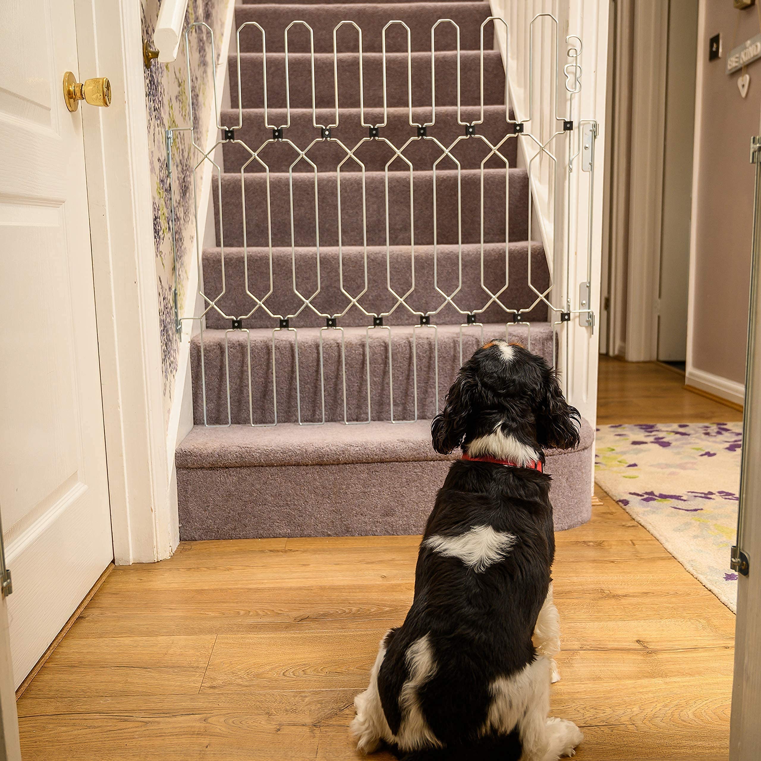 Dog Gate for Stairways, Hallways and Large Openings. Folding, Removable
