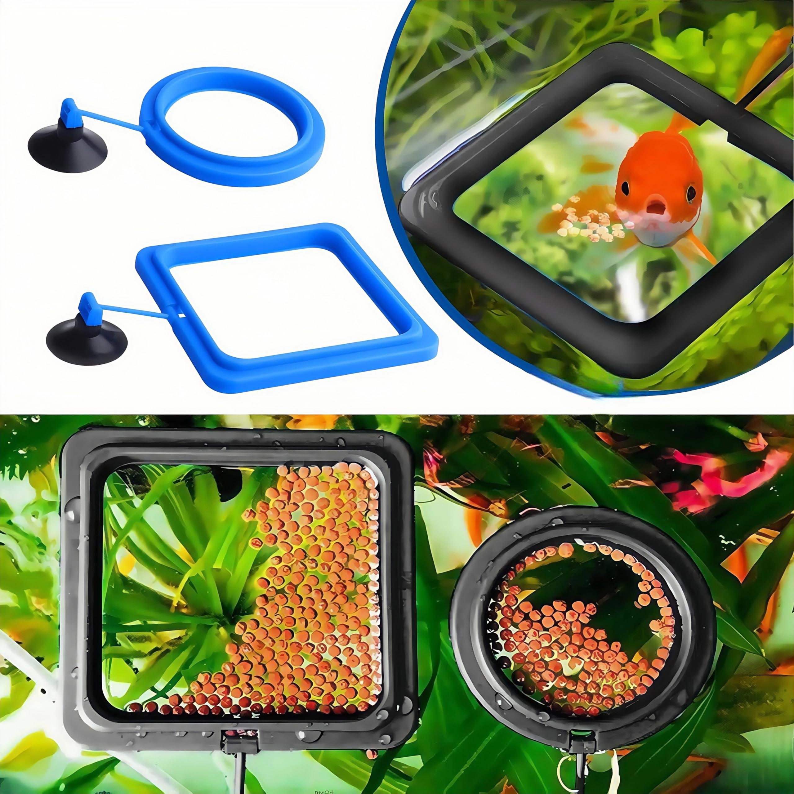 Anello di Alimentazione Quadrato con Ventosa, Mangiatoia Galleggiante per Acquario, Accessori per Serbatoi per Pesci Rossi e Più Piccoli