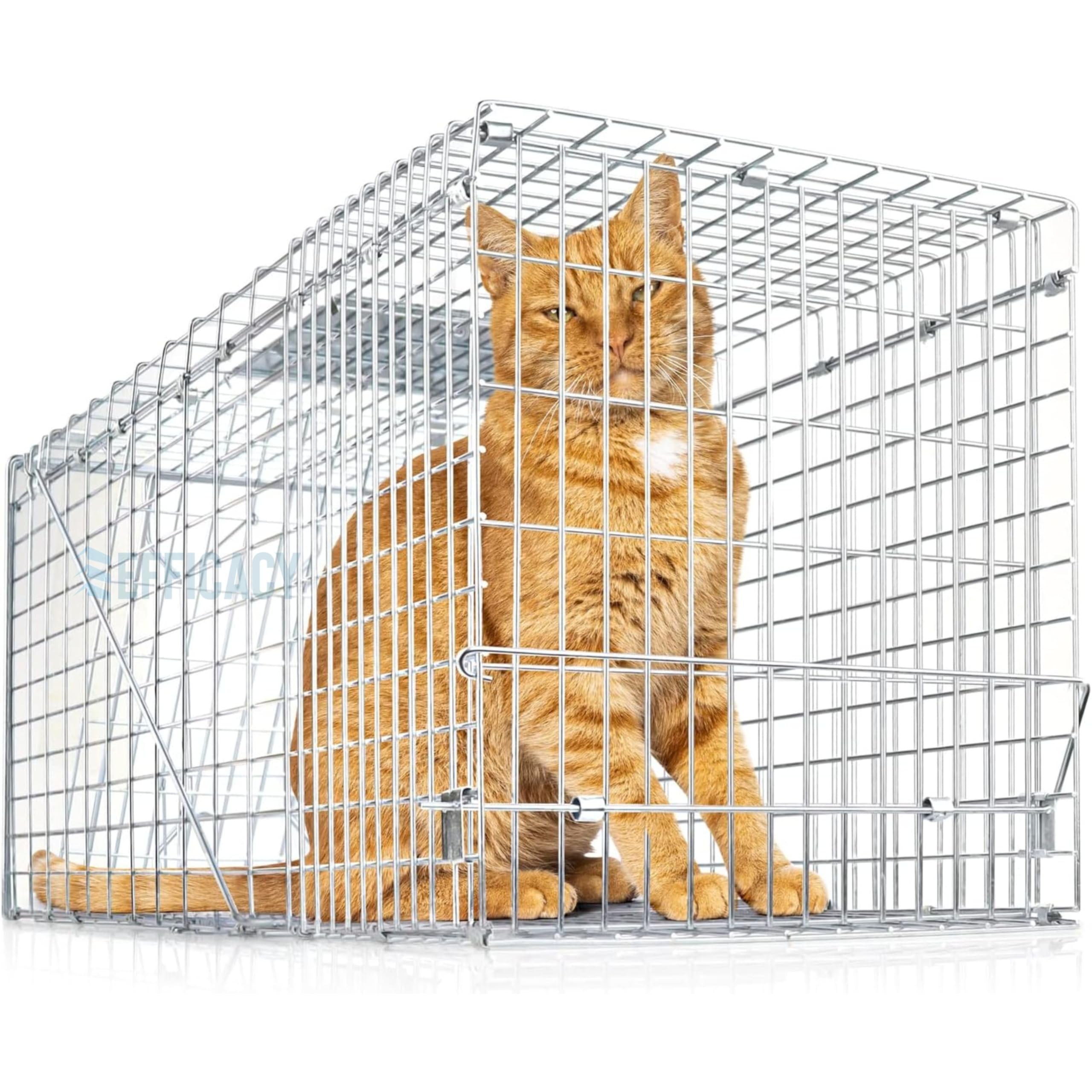 Efficacy Live Animal Two-Door Cat Trap | Cat cage for Feral Cats | Cat Trap Jungli Billi ka Pinjra | Kitten Cage for Home, Kitchen and Outdoor Silver Color Size 31" x 11.5" x 12" (B0CQV9B63V) Amazon Price History, Amazon Price Tracker