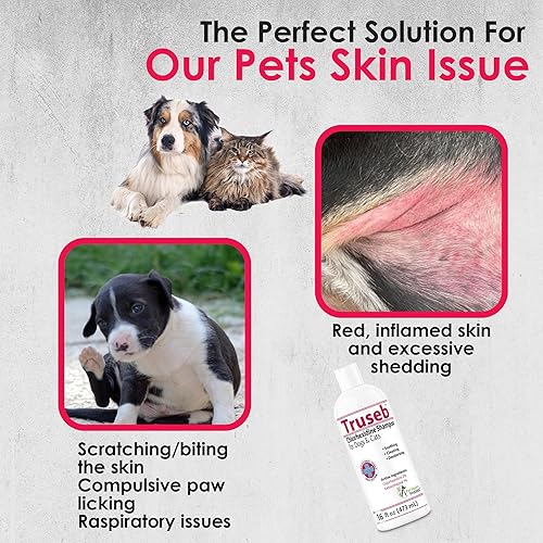 Miniatura 7 de Truseb - Champú tópico clorhexidianos y keto para gatos y perros (16 onzas)