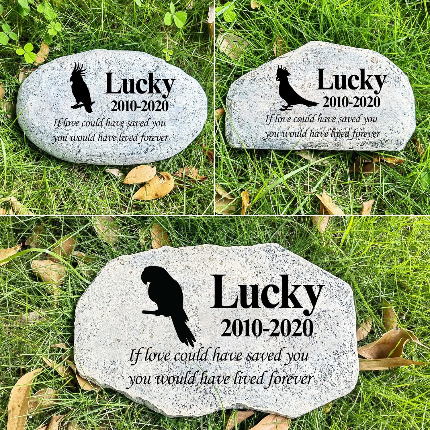 Zatanmulo Personalized Parrot Memorial Garden Stone Review: Custom Pet Stepping Stone for Backyard