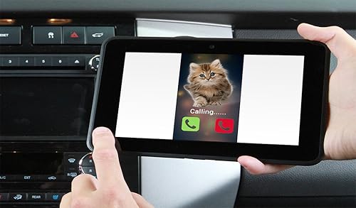 Prank Call from Cute Cat Fake (prank calling from pet cat)