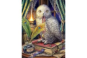 Ceaco's Guardian of Spells Puzzle at Midnight Glow Seek And Find