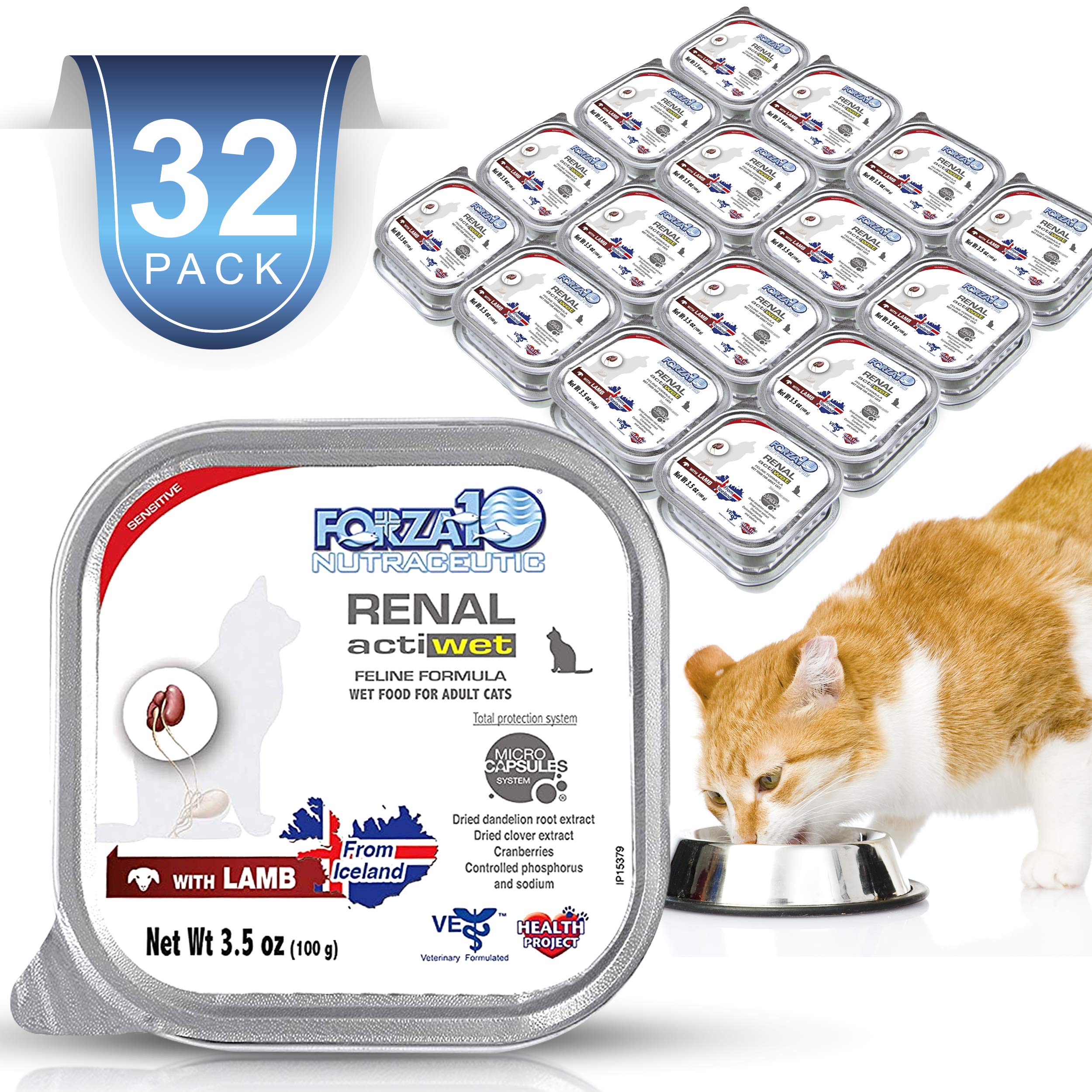 renal cat food australia