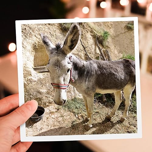 Miniatura 6 de Capadocia, Turquía. Gran angular, burro. - Tarjeta de felicitación, 6 x 6 pulgadas, individual (gc_189022_5)