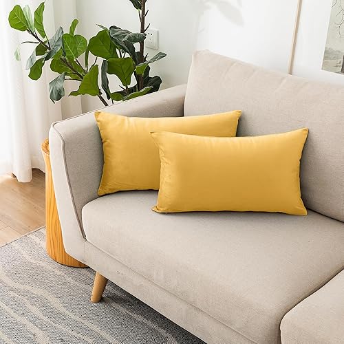 Vista 60 de NiNi ALL Fundas de almohada decorativas de terciopelo suaves para sofá, dormitorio, sala de estar, exteriores, paquete de 2 unidades, 18 x 18 Aqua