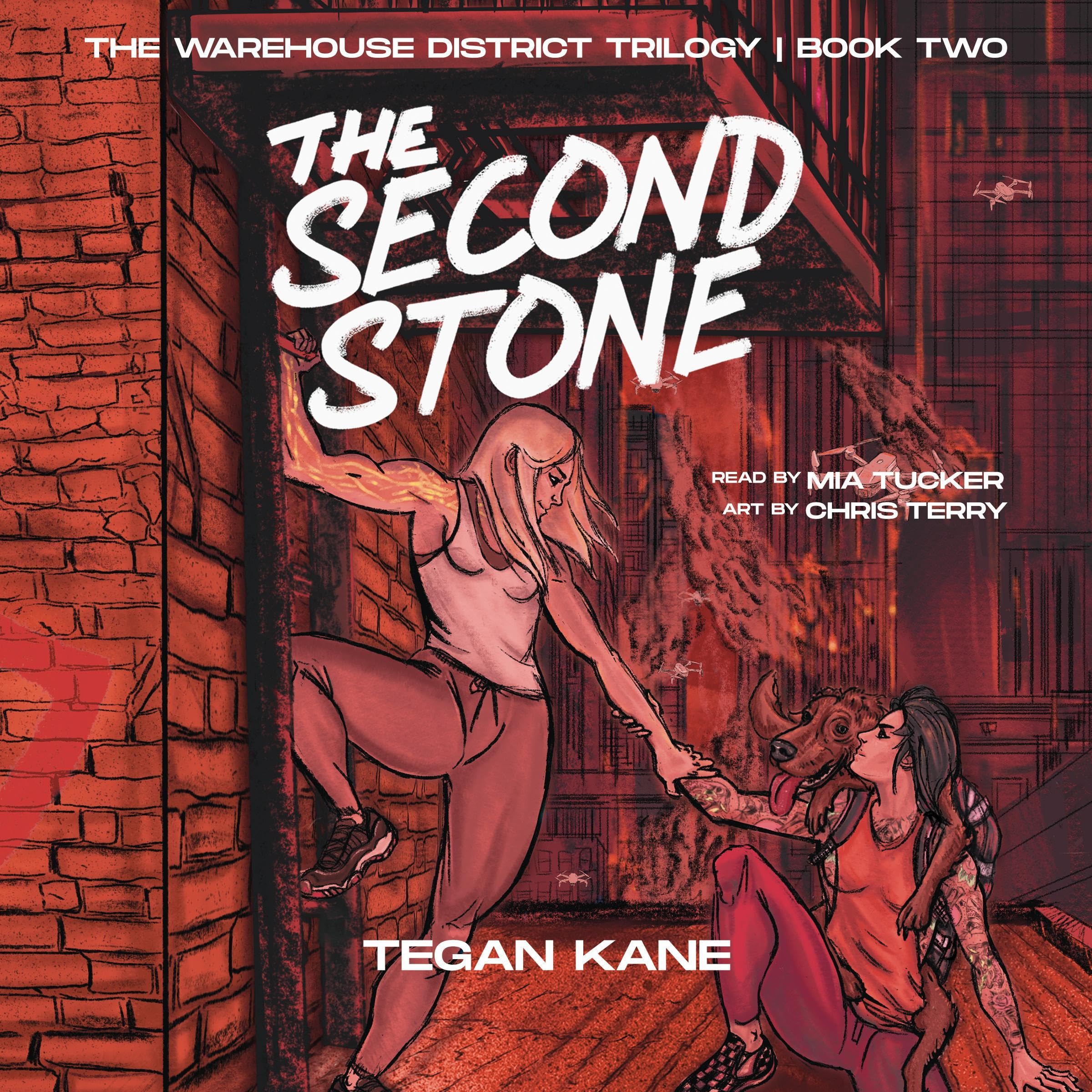 Cover art for The Second Stone