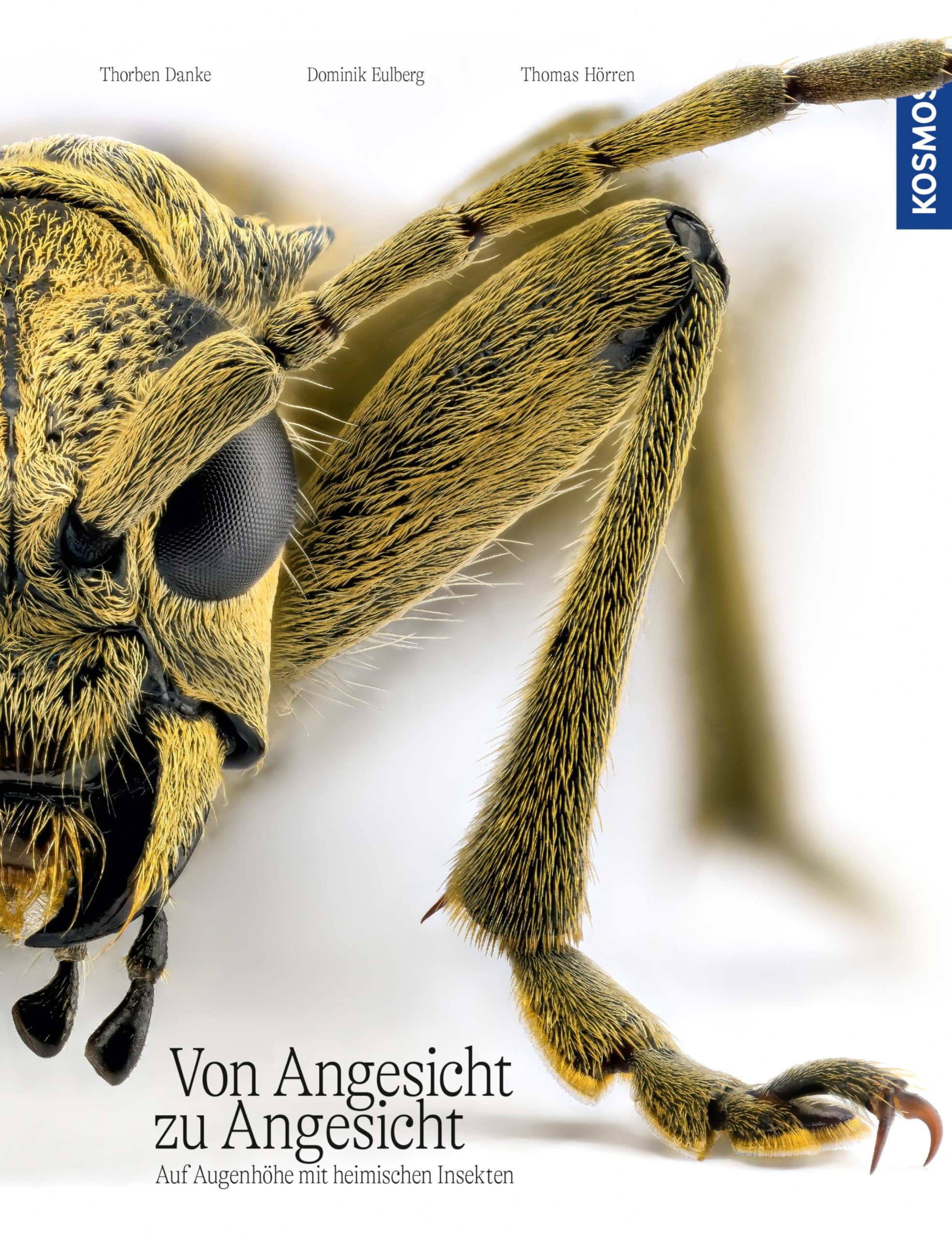 Photos d'insectes face à face livre de macro-photographie en allemand