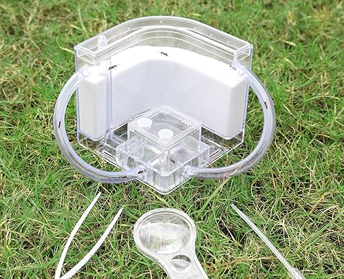 Miniatura 3 de NAVAdeal Granja de hormigas de arena con tubos de conexión, kit educativo y de aprendizaje de hábitat para niños y adultos, permite el estudio del