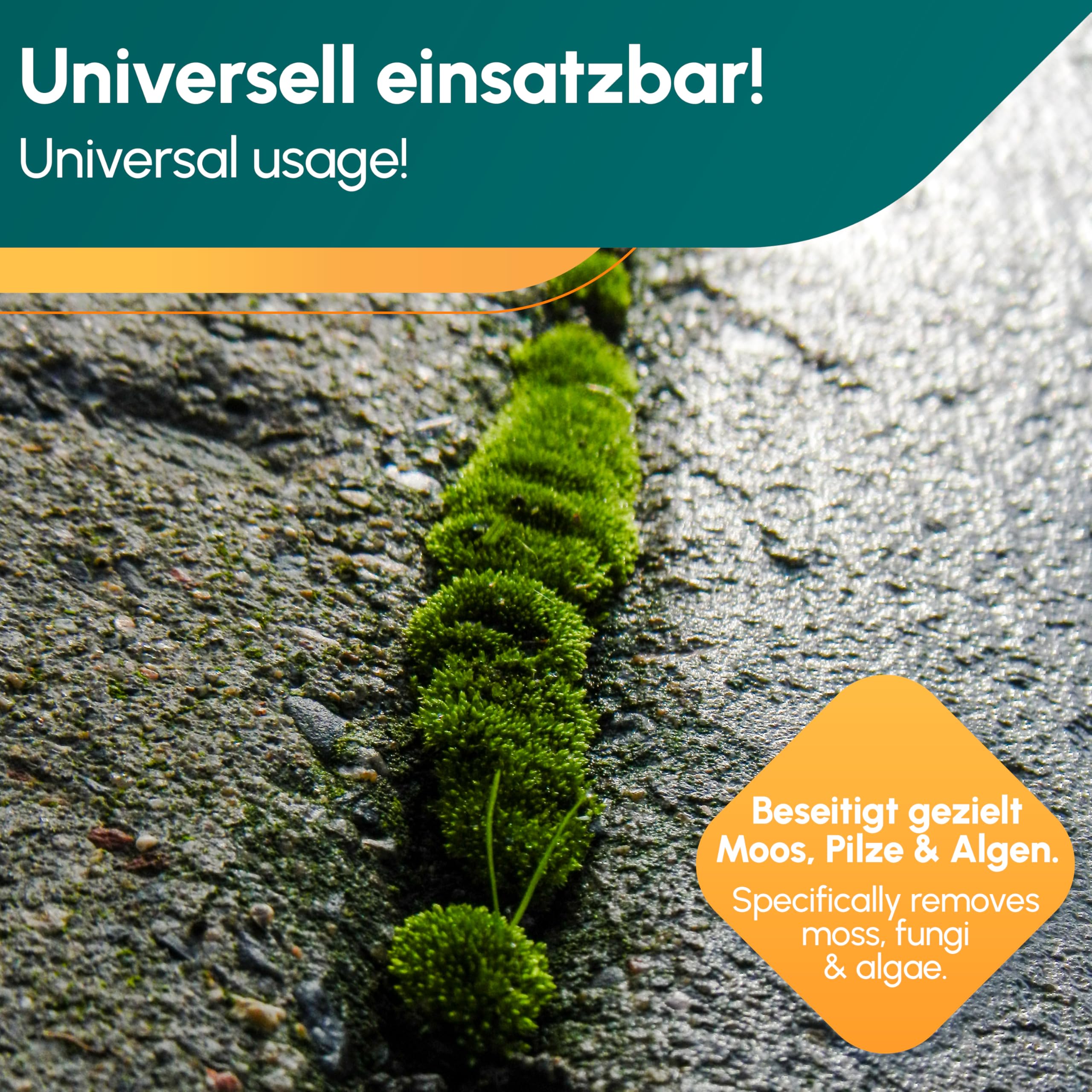 INOX® - Effektives Wege Clean Steinreiniger 25L | Intensiv außen | Grünbelagentferner, Algen-, Flechten- & Moosentferner | Reinigt Stein, Beton, Fliesen & Fassaden