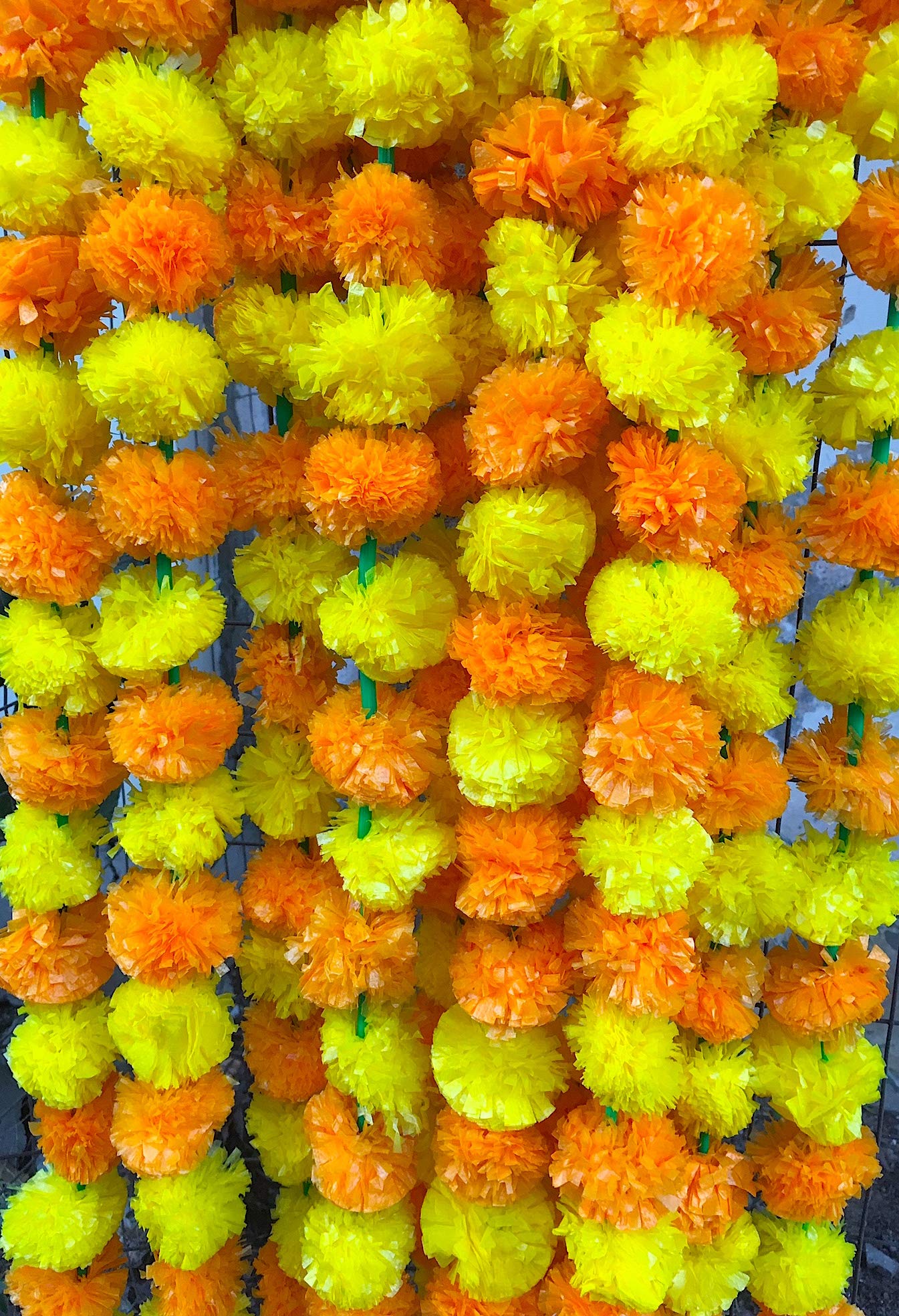 Krati Exports5ft Marigold Garland (Light and Dark Yellow)